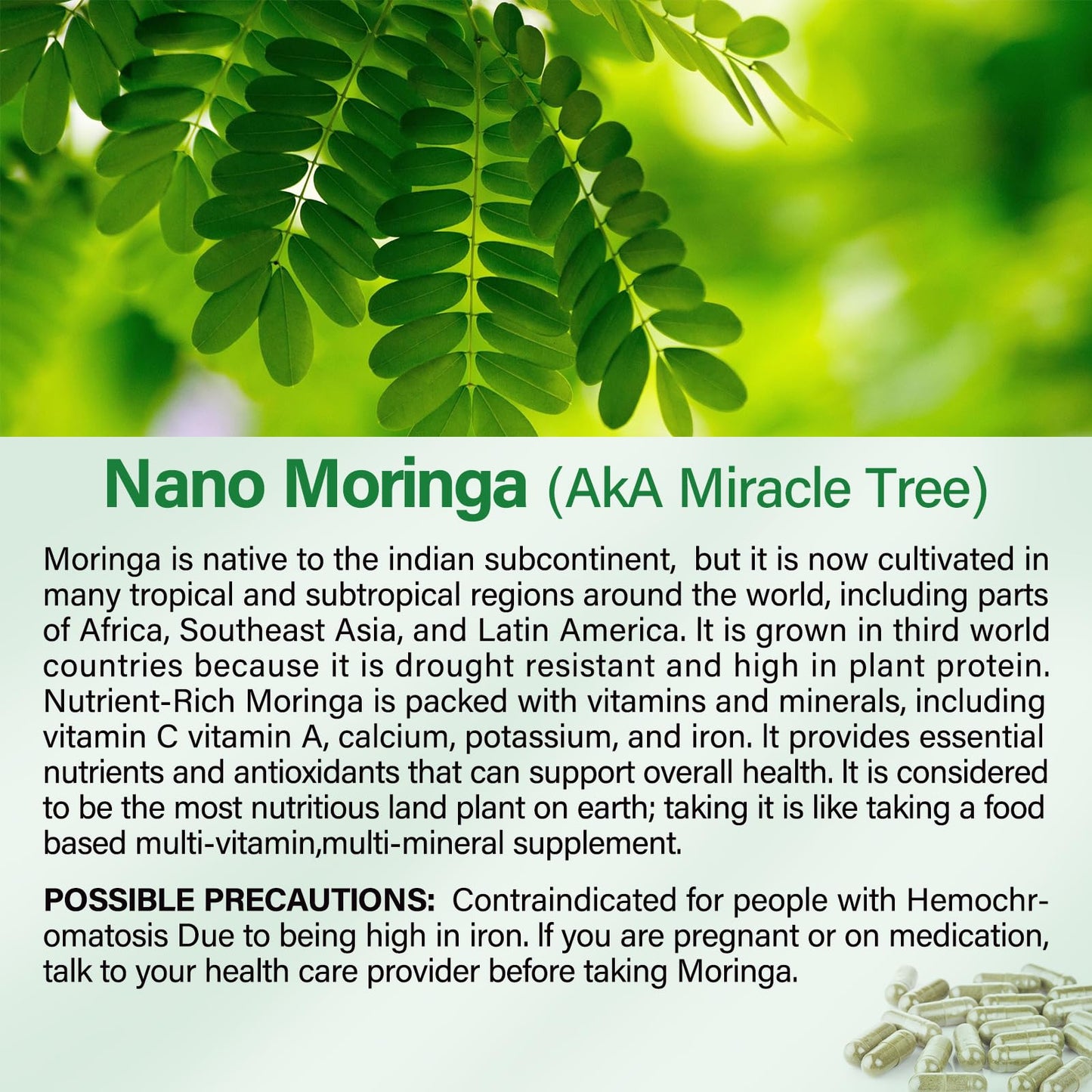 Moringa Capsules 2 Bottles | 800mg Pure Moringa Powder Capsules – Supports Energy, Immune Support, Gut Health, Green Superfood Contains Vitamins & Amino Acids