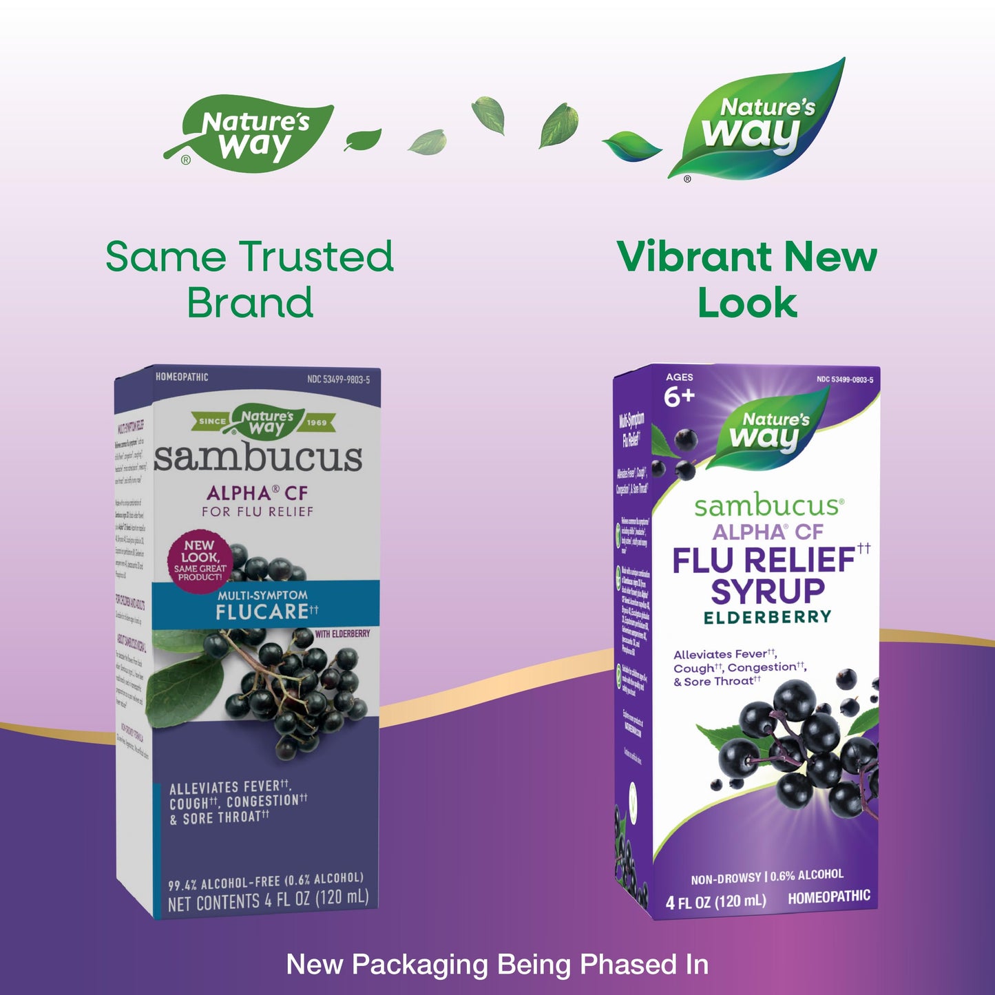 Nature's Way Sambucus Alpha CF Flu Relief* Syrup with Sambucus nigra 3X and Alpha CF, Relieves Flu Symptoms*, 4 Fl Oz (Packaging May Vary)