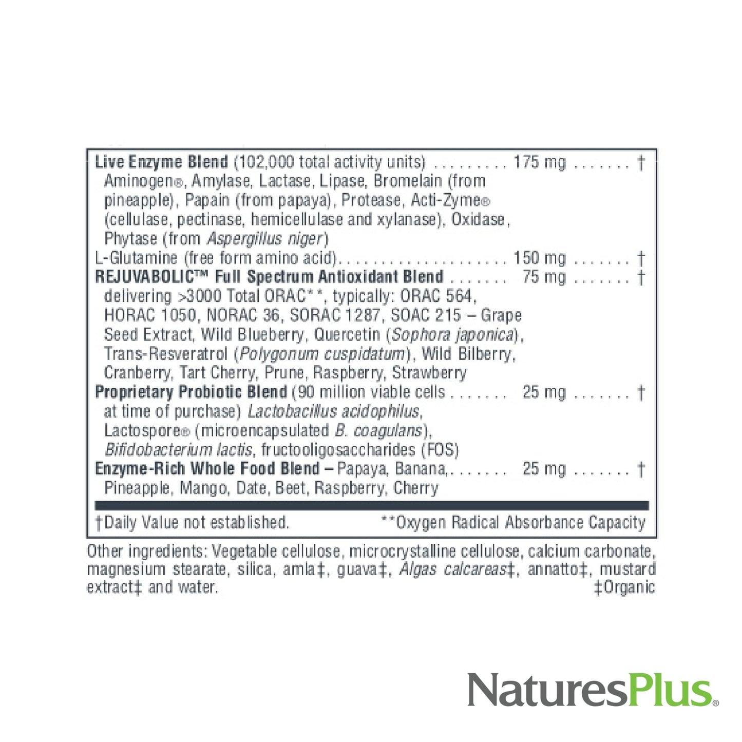 Natures Plus AgeLoss Digestion Support - 90 Capsules - Prebiotics, Live Enzymes & 150 mg L-Glutamine - Gluten Free - 30 Servings