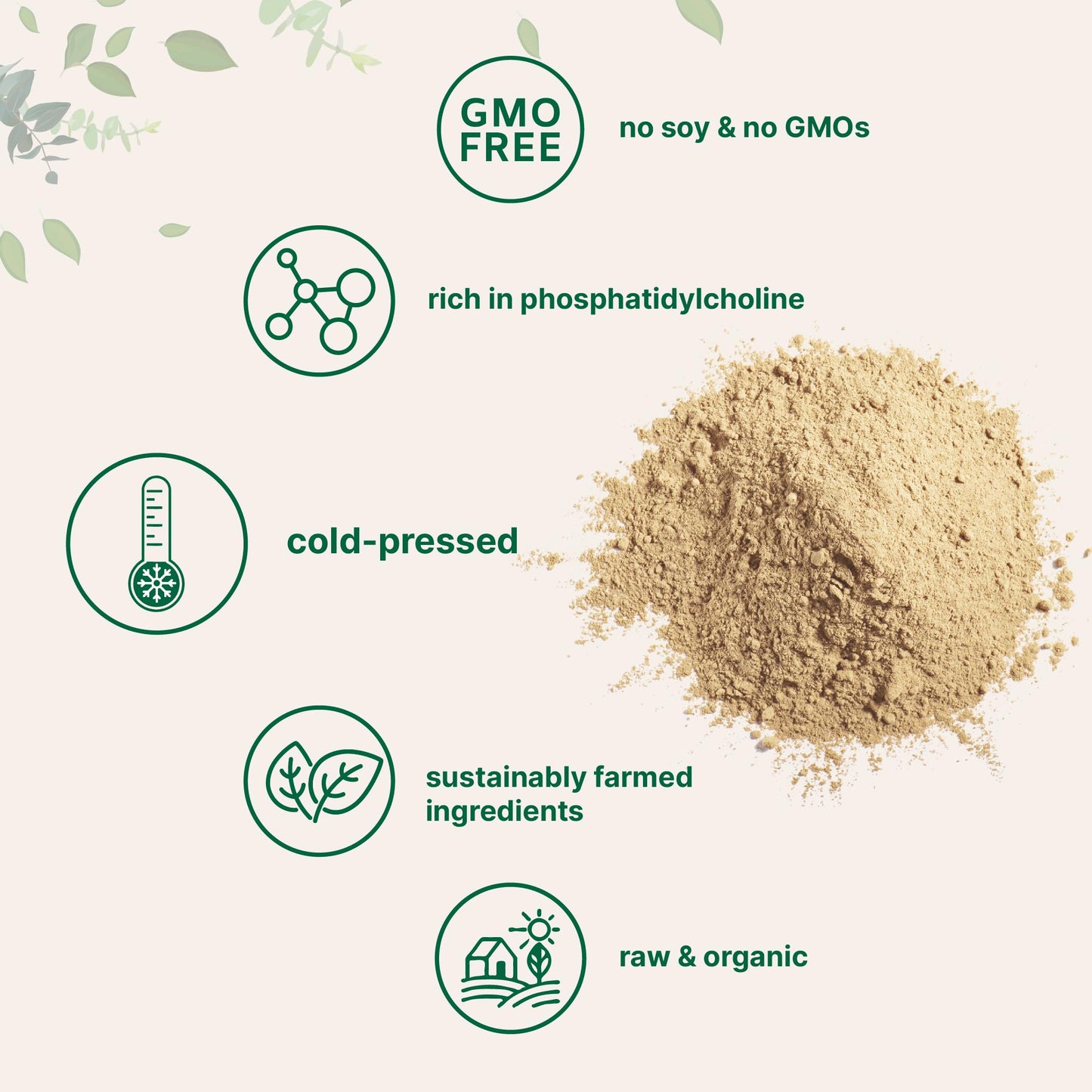 Micro Ingredients Organic Sunflower Lecithin Powder, 1 Pound, Sustainable Farmed, Cold Pressed, Rich in Phosphatidyl Choline and Protein, Making Liposomal Vitamin C, Lactation Supplement, Non-GMO
