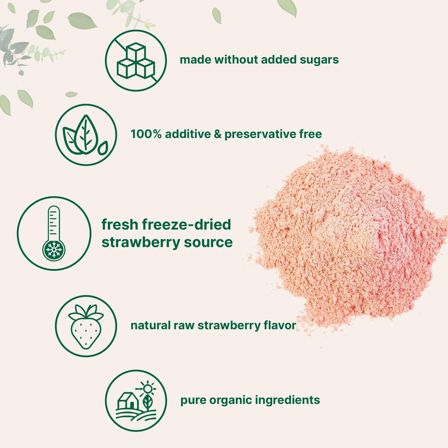 Pre-Order | Arrives in 5–10 Days – Organic Strawberry Powder, 1 Lb | 100% Natural Fruit Powder | Freeze-Dried Strawberries Source | No Sugar & Additives | Great Flavor for Drinks, Smoothie, & Beverages | Non-GMO & Vegan Friendly