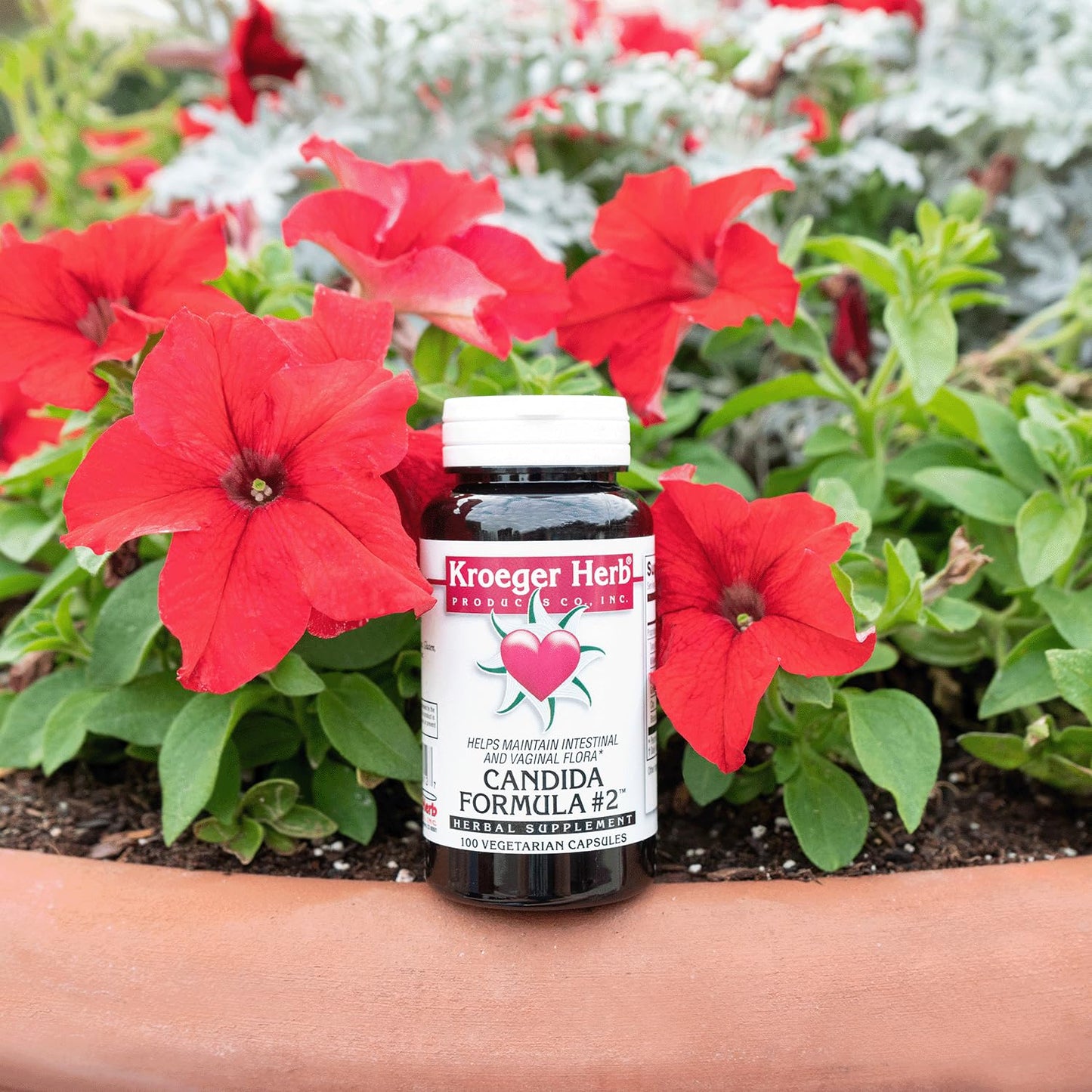 Kroeger Herb Products, Candida Formula #2, Cleanse Support, Detox for Natural Candida Cleanse, Helps Gut and Vaginal Health, Yeast Supplement, Candida Overgrowth, Intestinal Supplement, Made in USA