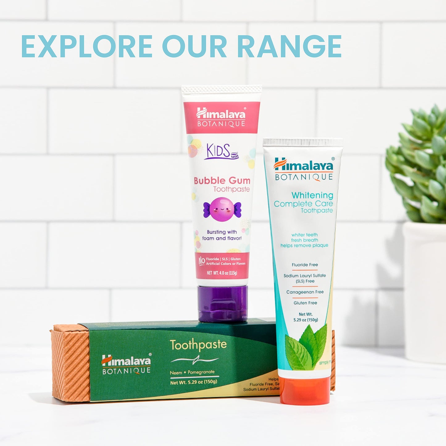 Himalaya Botanique Original Neem & Pomegranate Botanical Toothpaste, Fights Plaque, Brightens Teeth, Fluoride Free, No Artificial Flavors, SLS Free, Cruelty Free, Foaming, Mint Flavor, 5.29 Oz,1 Pack…