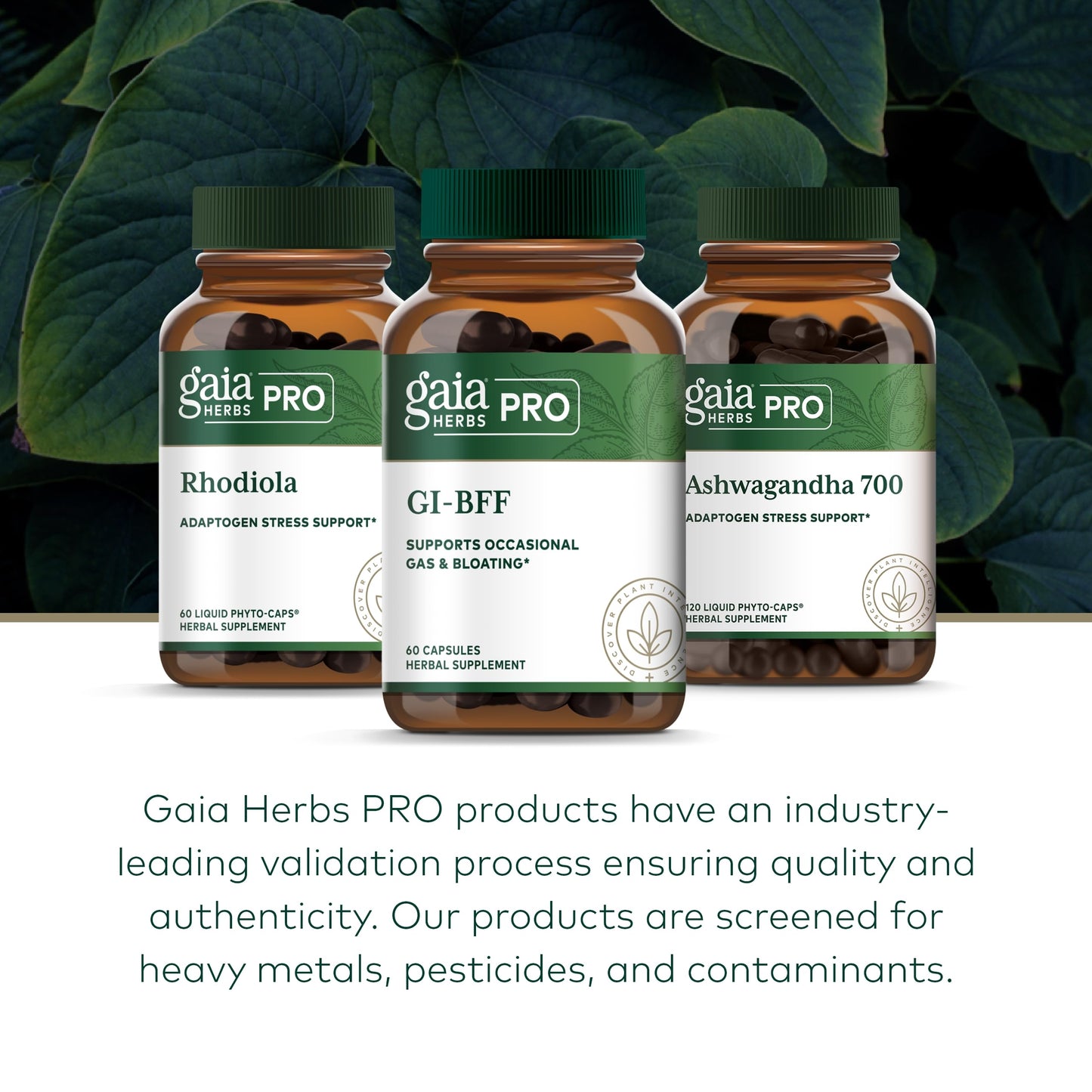 Gaia Herbs Pro GI-BFF Digestive Health Support Supplement* - GI Health Supplement with Organic Fennel & Cinnamon Bark - Benegut for Occasional Gas & Bloating* - 60 Powder Capsules (60 Servings)