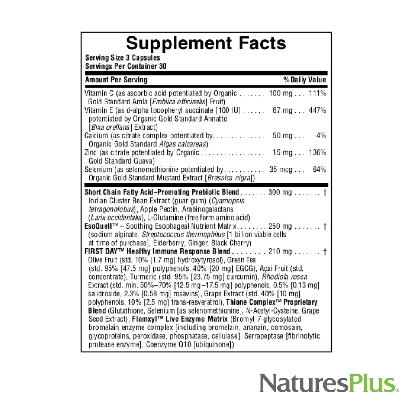 Natures Plus AgeLoss Digestion Support - 90 Capsules - Prebiotics, Live Enzymes & 150 mg L-Glutamine - Gluten Free - 30 Servings