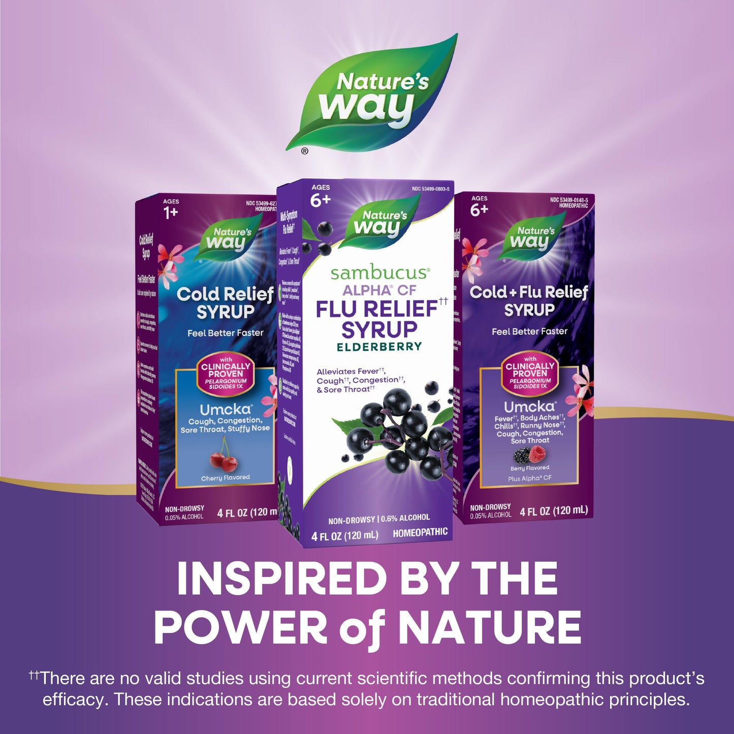 Nature's Way Sambucus Alpha CF Flu Relief* Syrup with Sambucus nigra 3X and Alpha CF, Relieves Flu Symptoms*, 4 Fl Oz (Packaging May Vary)