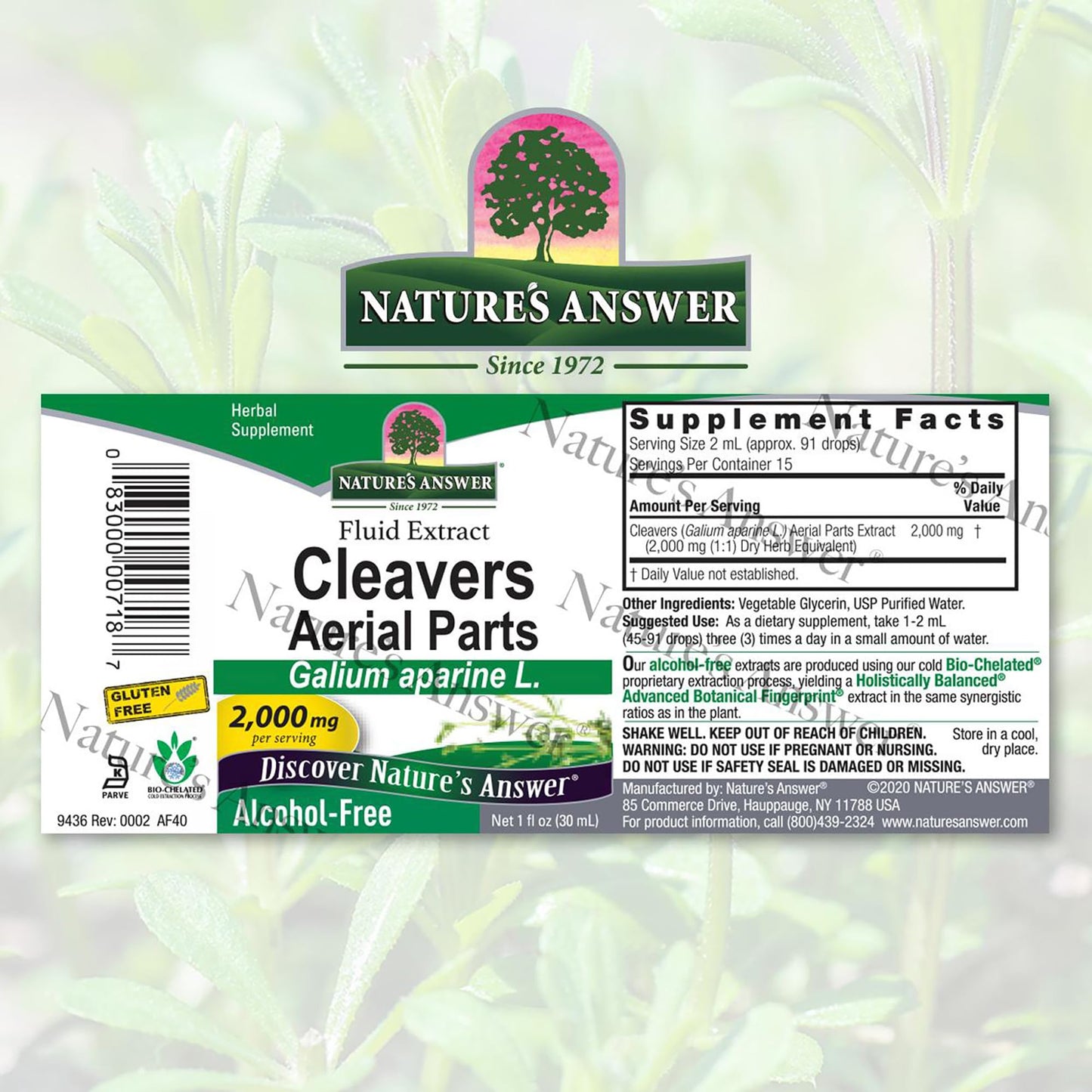 Nature's Answer Alcohol-Free Cleavers Herb, 1-Fluid Ounce | Supports Overall Wellbeing | Dietary Supplement