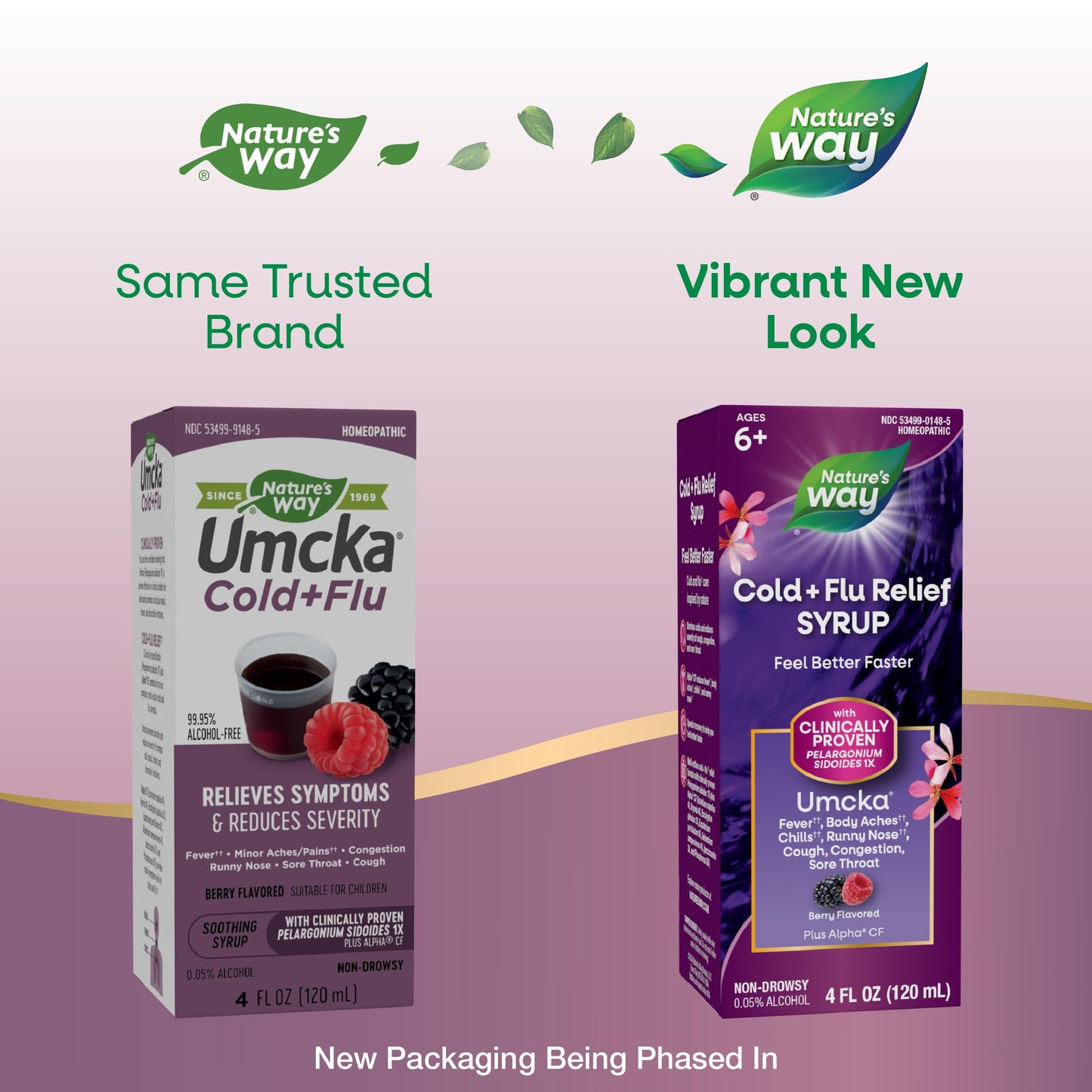Nature's Way Cold+Flu Relief Syrup, Umcka, Fever*, Sore Throat, Cough, Congestion, Body Aches*, Homeopathic, Phenylephrine Free, 0.05% Alcohol, Berry Flavored, 4 Fl Oz (Packaging May Vary)