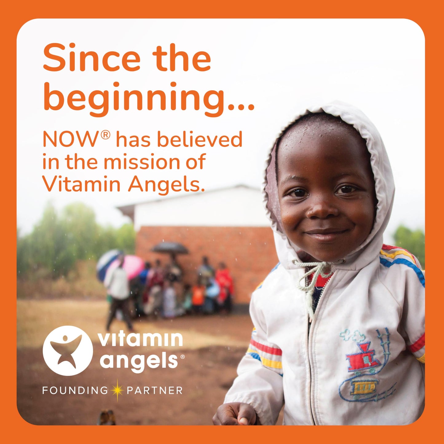 Pre-Order | Arrives in 5–10 Days – NOW Foods Supplements, Macular Vision Softgel, Eye Health, Eye Support, 50 Softgels