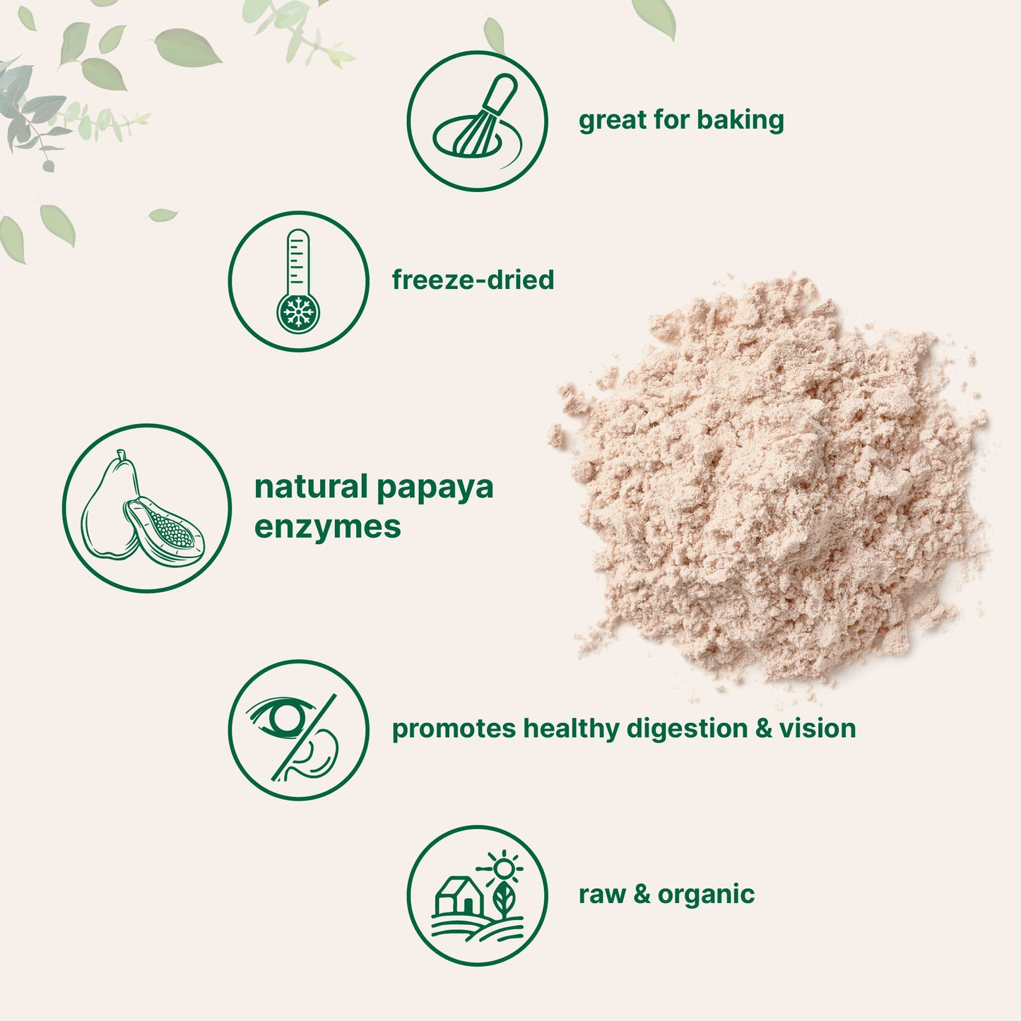 Pre-Order | Arrives in 5–10 Days – Organic Papaya Powder, 8oz | 100% Natural Fruit Powder | Freeze-Dried Papayas Source | No Sugar & Additives | Great Flavor for Drinks, Smoothie, & Beverages | Non-GMO & Vegan Friendly