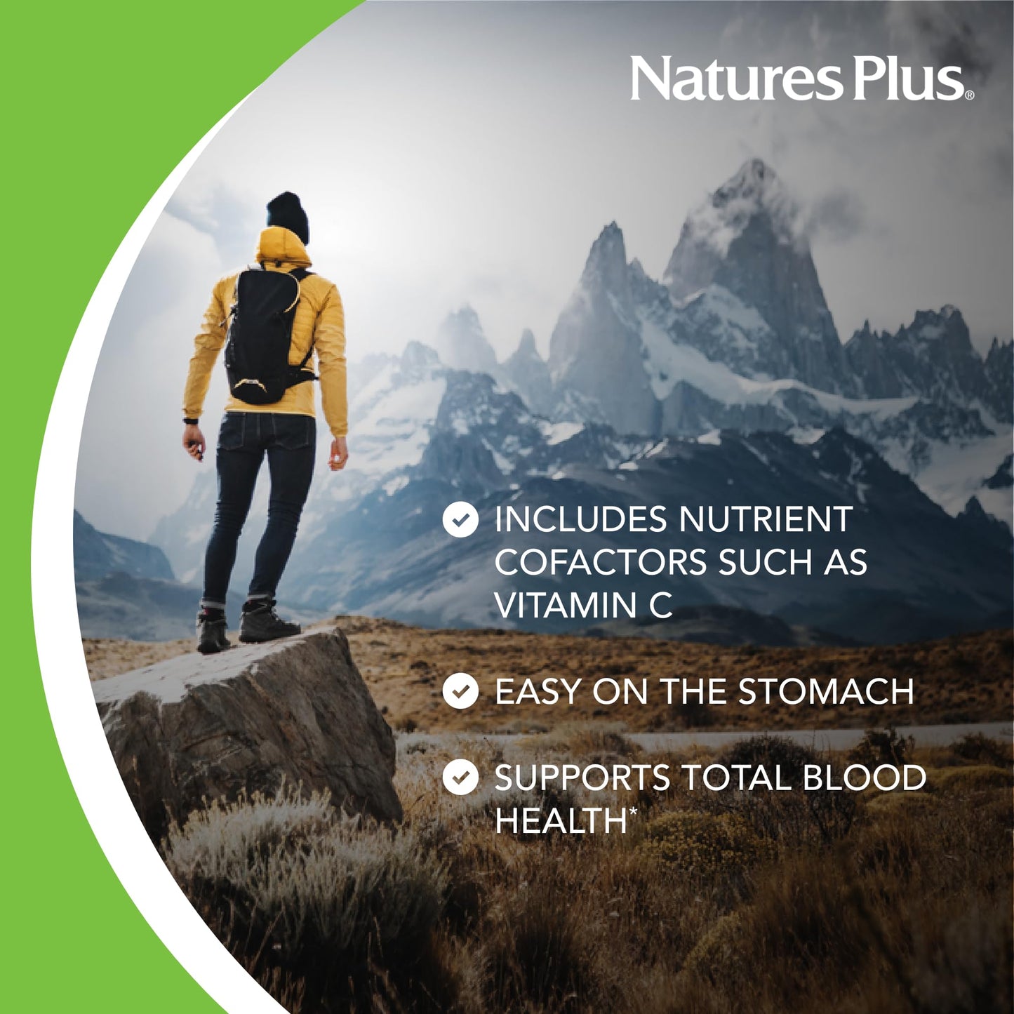 NaturesPlus Hema-Plex Iron - 30 Slow-Release Tablets - 85 mg Chelated Iron - Total Blood Health - With Vitamin C & Bioflavonoids - Non GMO, Vegetarian & Gluten Free - 30 Servings