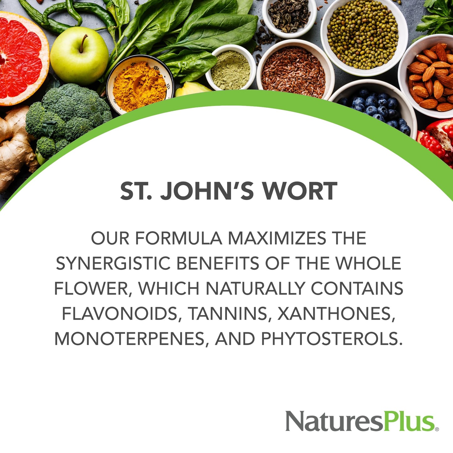 Natures Plus Herbal Actives St John's Wort, Extended Release - 450 mg, 60 Vegan Tablets - Vegetarian, Gluten-Free - 60 Servings