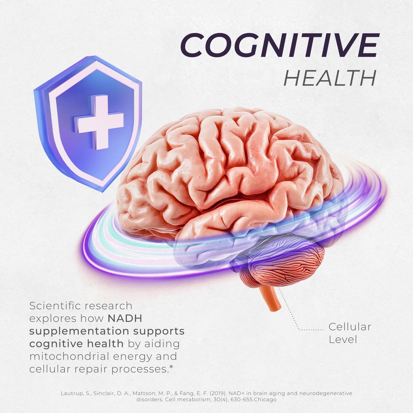 NADH Tablets - 20mg Per Serving, 60 Ct - Cellular Energy, Healthy Aging, Cognitive, Heart Health Supplements - Nicotinamide Adenine Dinucleotide Hydride Reduced NAD Supplement for Men & Women Neurogan