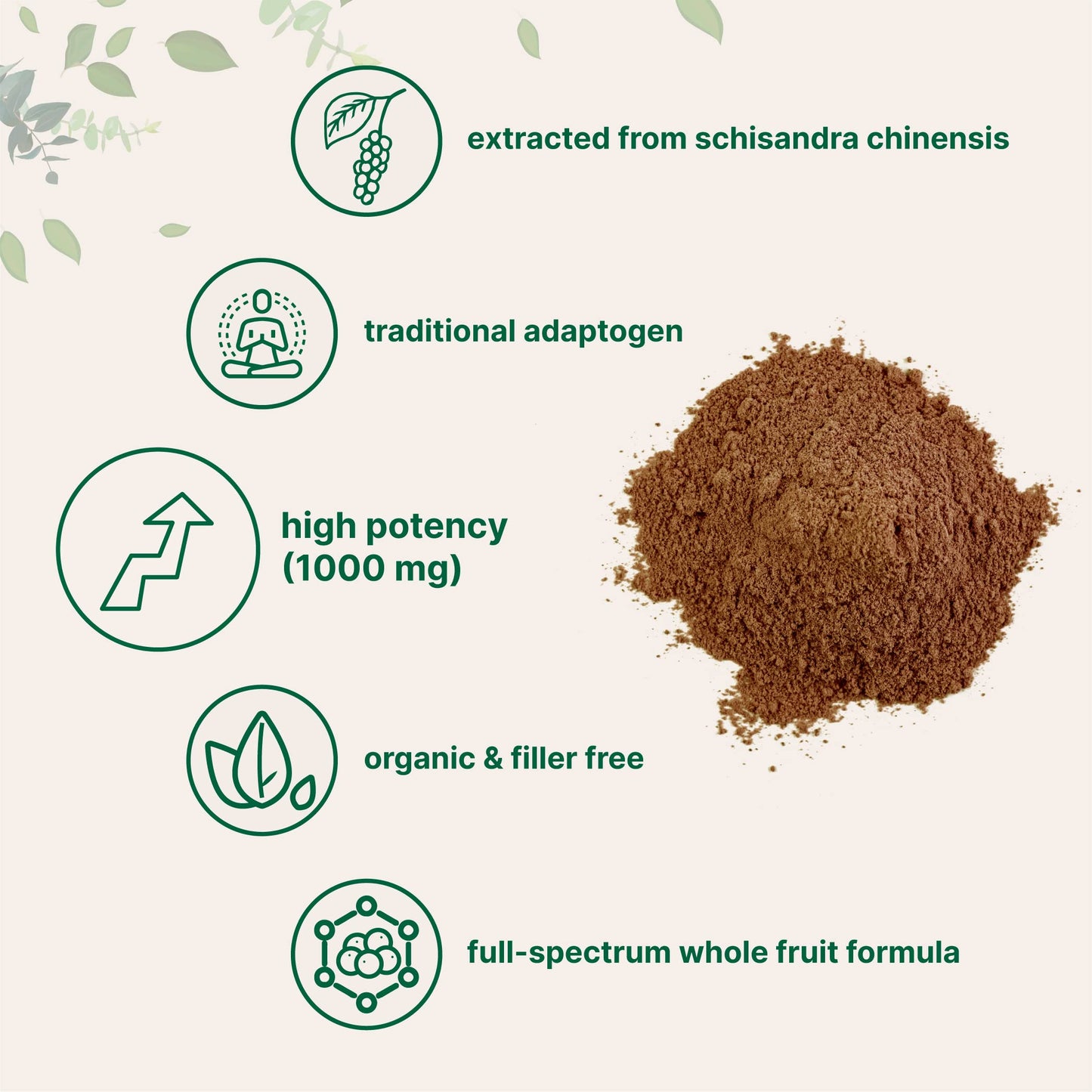 Pre-Order | Arrives in 5–10 Days – Organic Schisandra Extract Powder, 8 Ounce, Traditional Adaptogen and Filler Free, Pure Schisandra Supplement, Supports Liver Detox and Cognitive Health, No GMOs