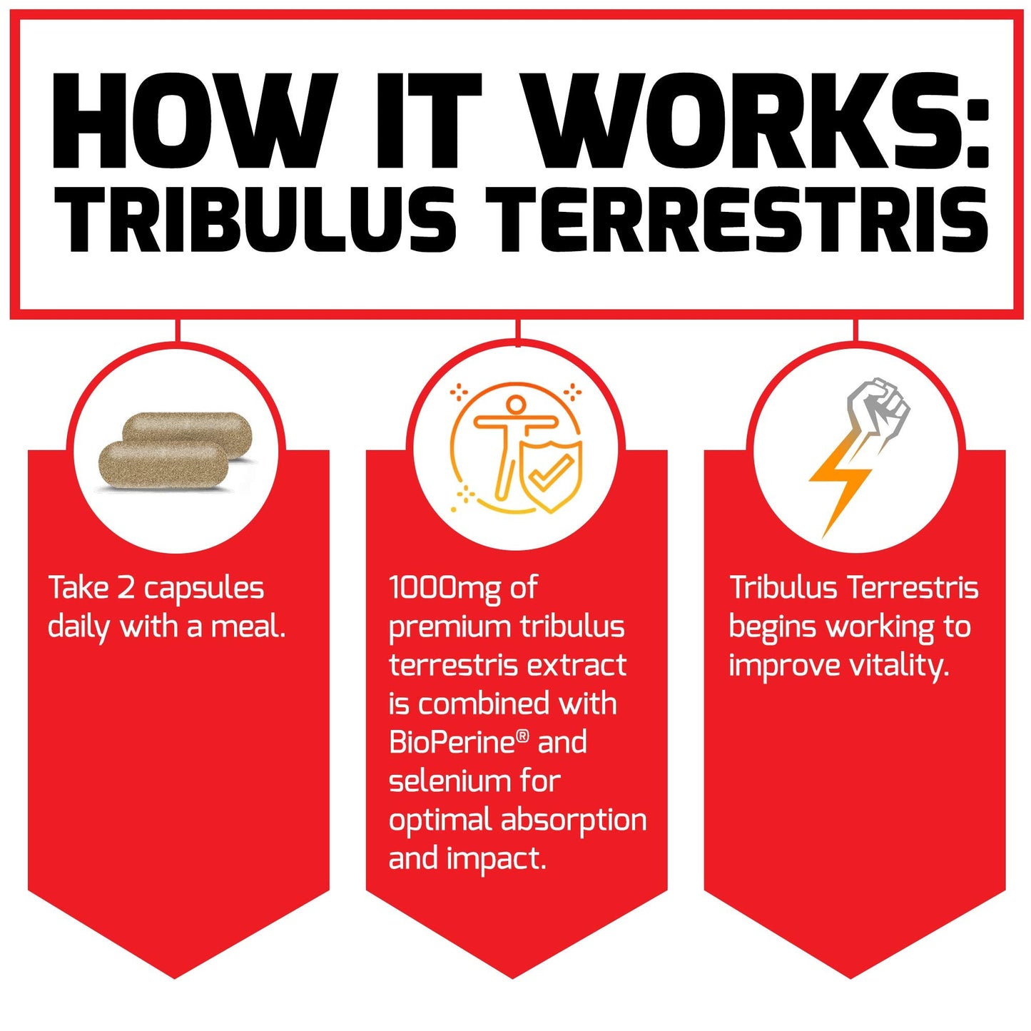 Force Factor Tribulus Terrestris for Men, Testosterone Booster and Male Vitality Supplement, Tribulus Extract and Natural Ingredients for Superior Absorption, Fundamental Series, 1000mg, 60 Capsules