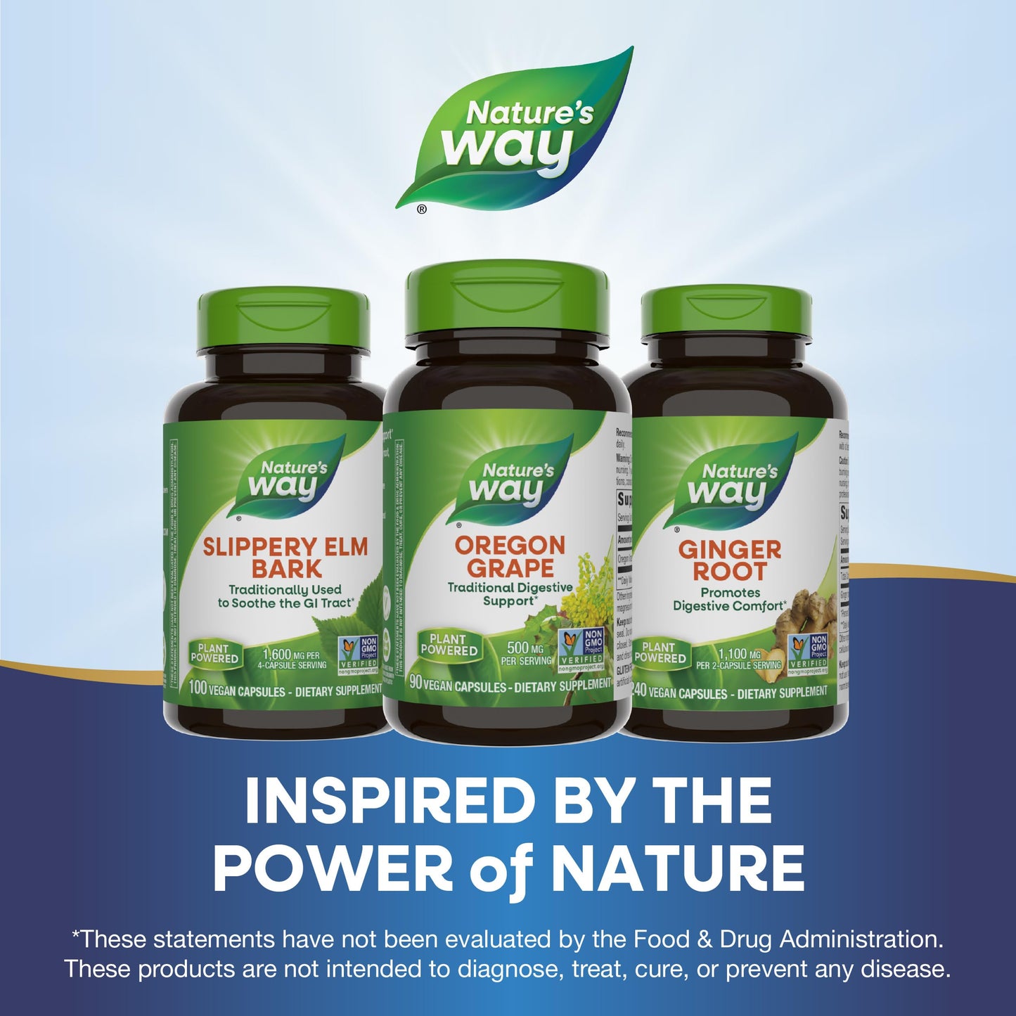 Nature's Way Oregon Grape, Traditional Digestion Remedy* Supplement, 90 Vegan Capsules