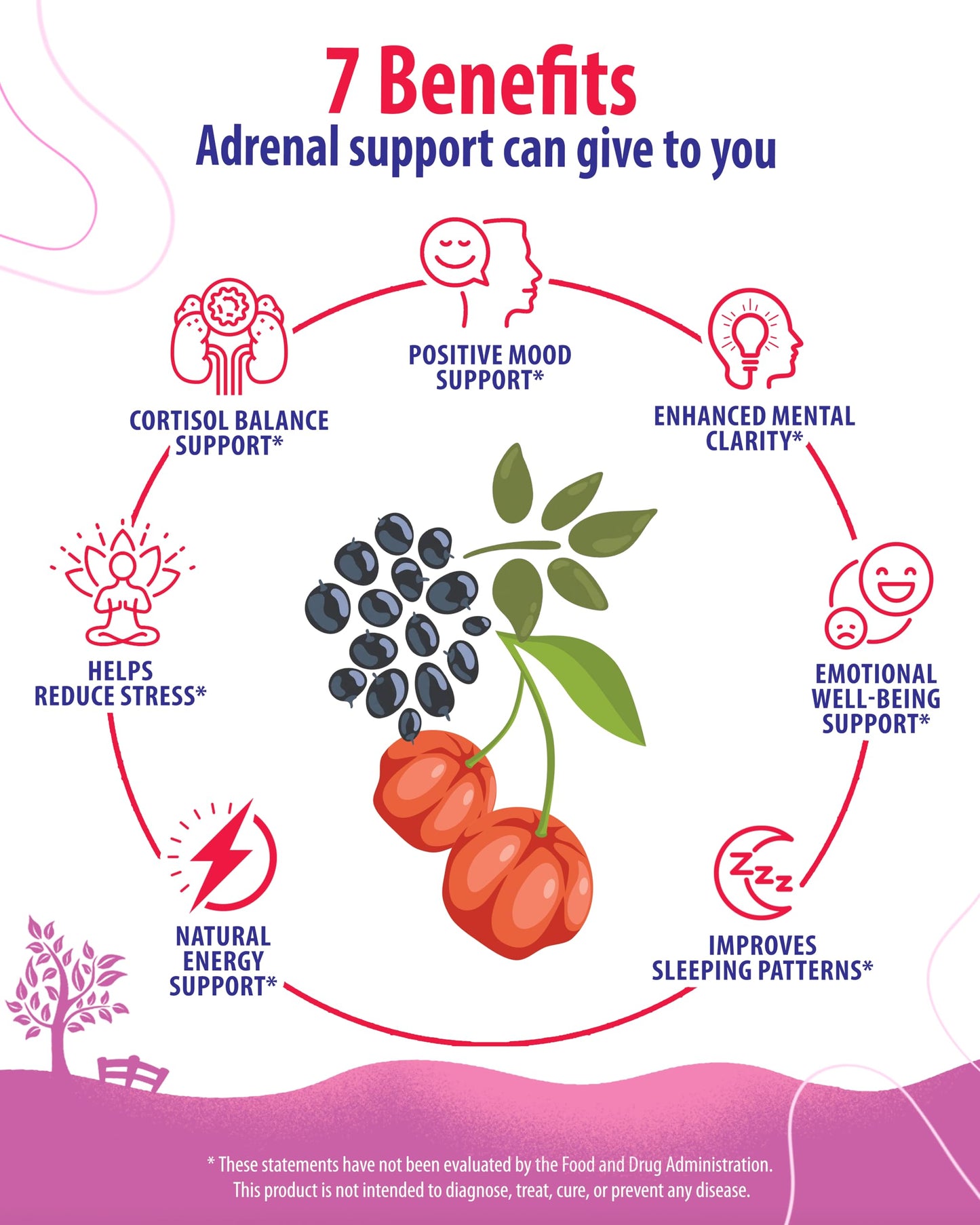 SUNNY SAM Adrenal Cortex Support Supplements for Cortisol Management - Supports Cortisol, Energy Levels, and Tension Regulation