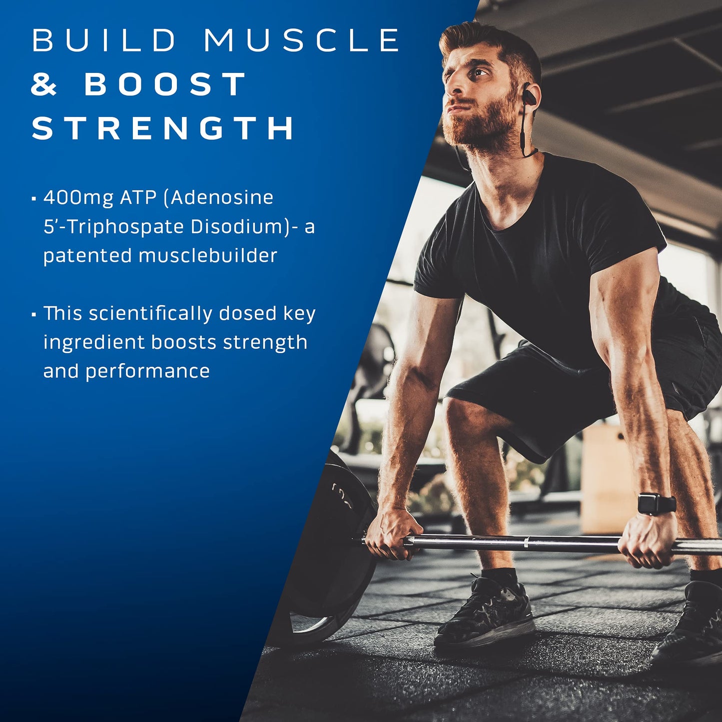 MuscleTech Muscle Builder with 400mg Peak ATP and Platinum Multivitamin with Amino Support Matrix and Vitamin C - Muscle Building and Immune Support Supplement Bundle for Men and Women