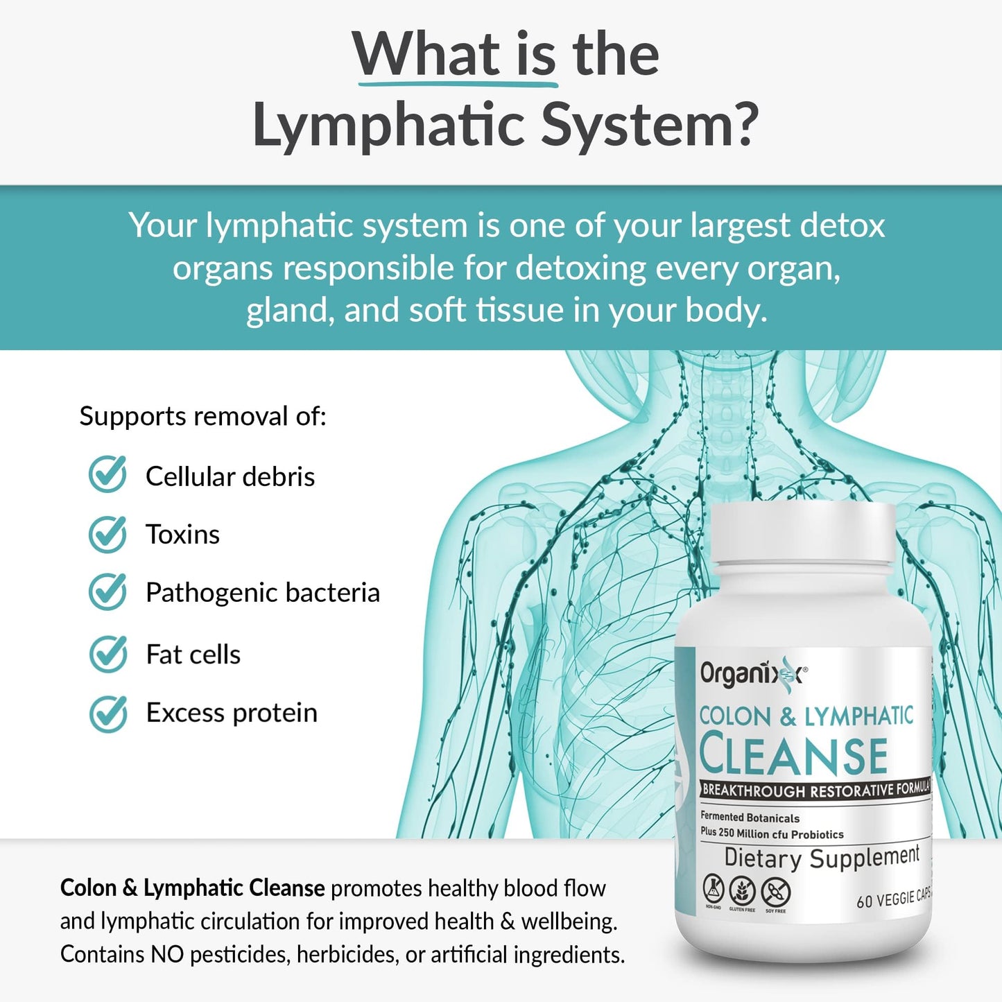 Organixx Lymphatic & Colon Cleanse Supplement, 250 Million CFU Probiotics for Gut Health, Digestive & Lymphatic Support, Gluten Free, Non GMO, 60 Vegetarian Capsules