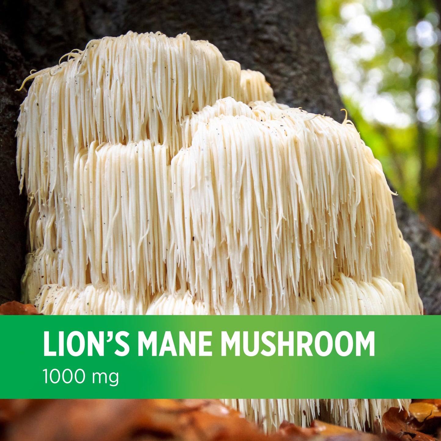 DOCTORS' PREFERRED Lions Mane Mushroom Supplement - 1,000 mg/Serving, 60 Vegan Capsules for Brain Health and Overall Daily Wellness. (30-Day Supply)