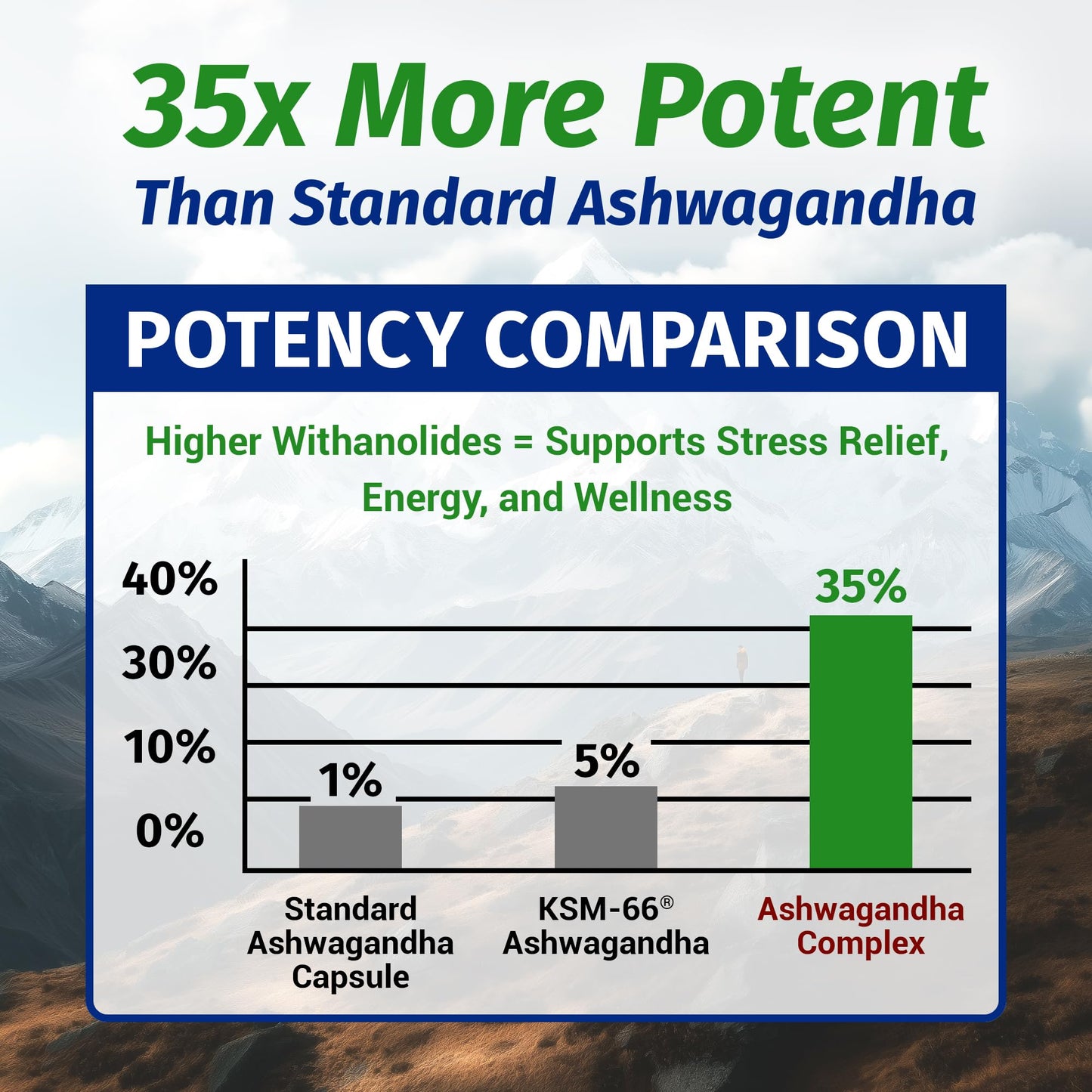 1 Body Ashwagandha Complex with Shoden® – Clinically Supported Stress Relief, Sleep, and Energy Support – Vegan, Non-GMO Supplements – 60 Capsules