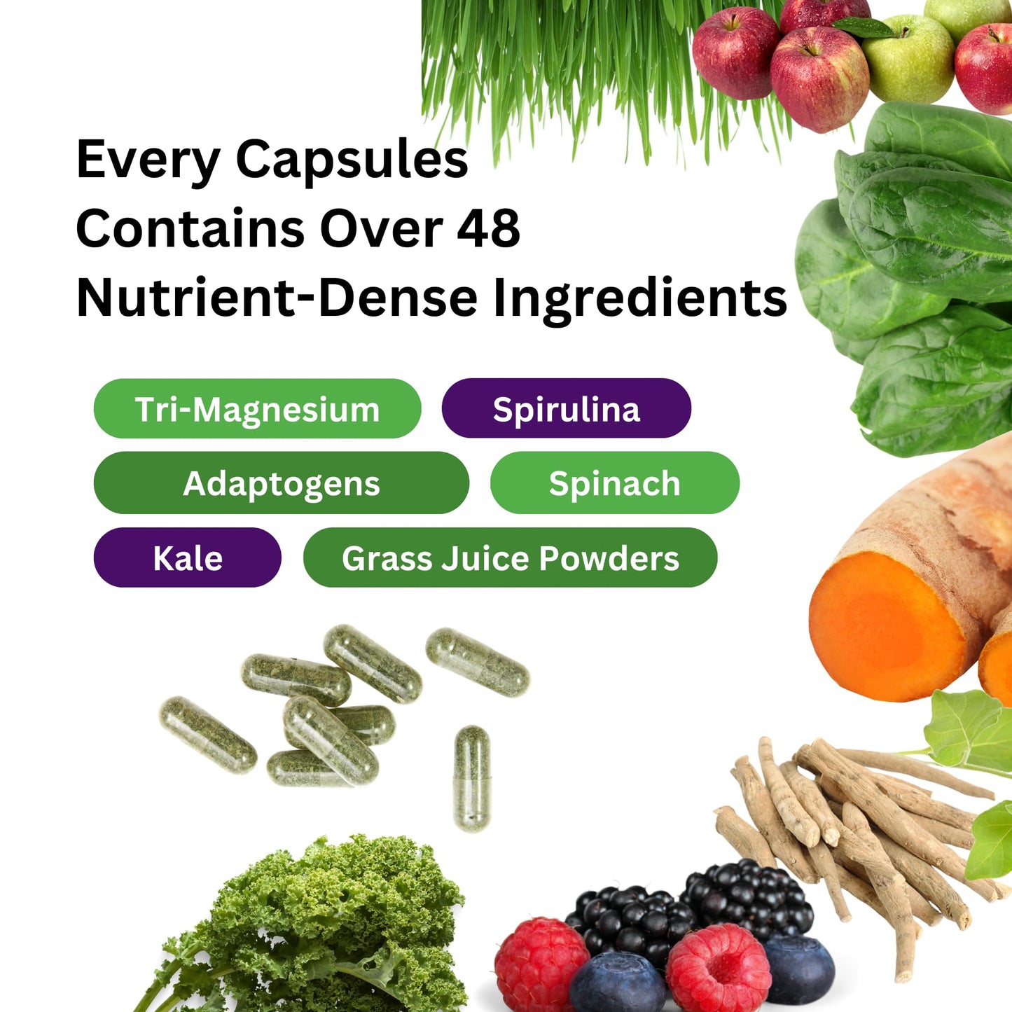 Pre-Order | Arrives in 5–10 Days – Paradise Herbs Earth's Blend Magnesium Supplement, Support Stress Relief, Sleep, Heart Health, Nerves, Muscles, Vegan, Non-GMO, Gluten Free, 90 Vegetarian Capsules