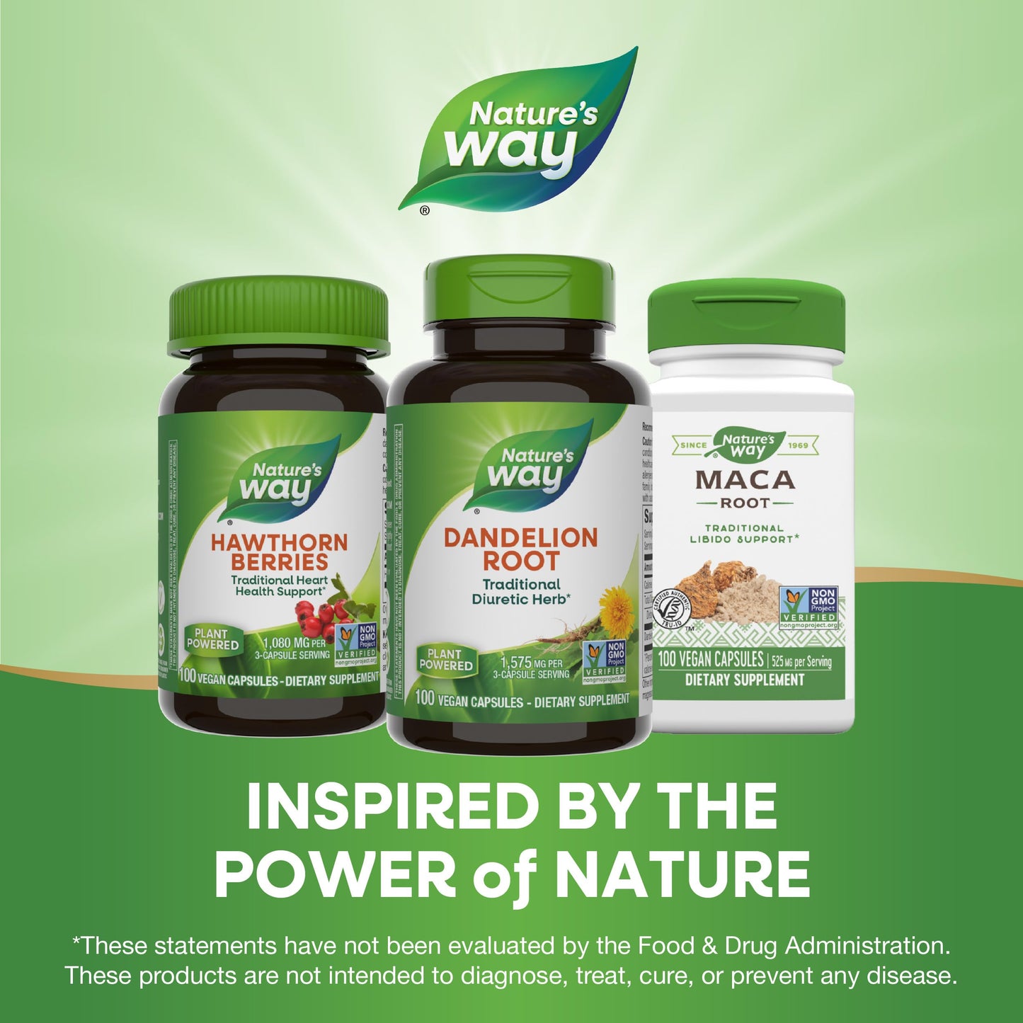 Nature's Way Dandelion Root, Traditional Diuretic Herb*, Traditionally used to Soothe Digestive Upset*, Vegan, 100 Capsules