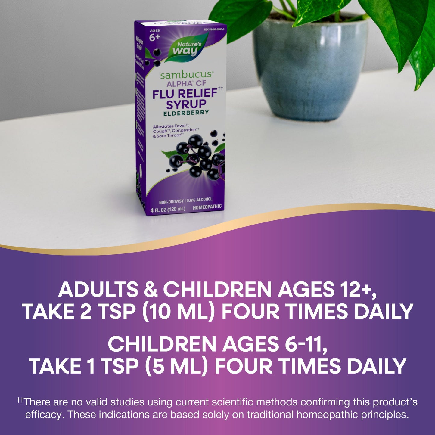 Nature's Way Sambucus Alpha CF Flu Relief* Syrup with Sambucus nigra 3X and Alpha CF, Relieves Flu Symptoms*, 4 Fl Oz (Packaging May Vary)