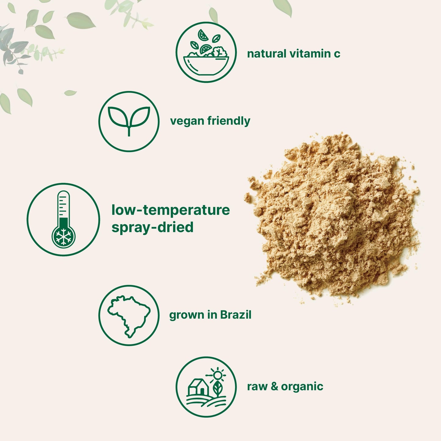 Pre-Order | Arrives in 5–10 Days – Organic Acerola Powder, 8oz | Natural Organic Vitamin C Superfood | No Sugar & Additives | Great Flavor for Drinks, Smoothie, & Beverages | Non-GMO & Vegan Friendly, Brazil Origin
