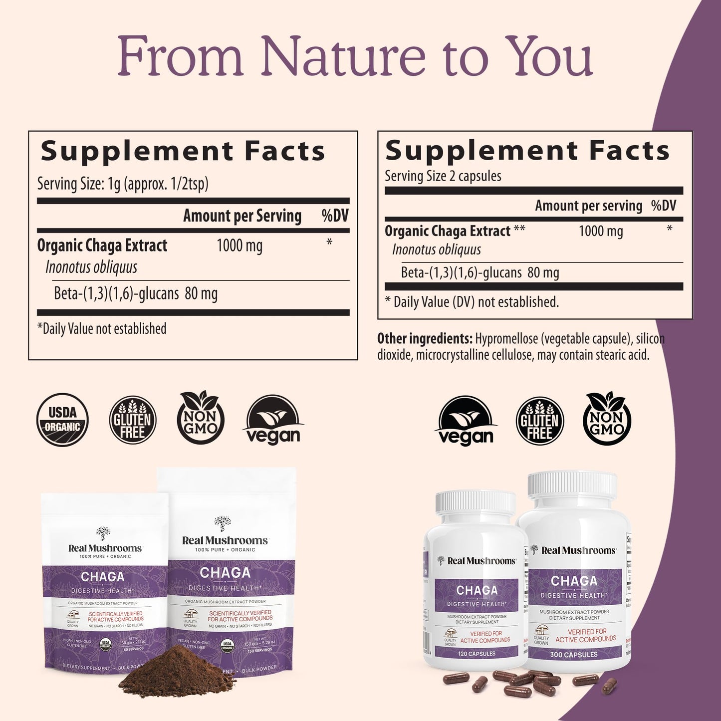 Real Mushrooms Chaga Mushroom Powder – Organic Chaga Extract from Fruiting Body – for Daily Wellness & Energy Support – Vegan, Non-GMO, 60 Servings Mushroom Supplement