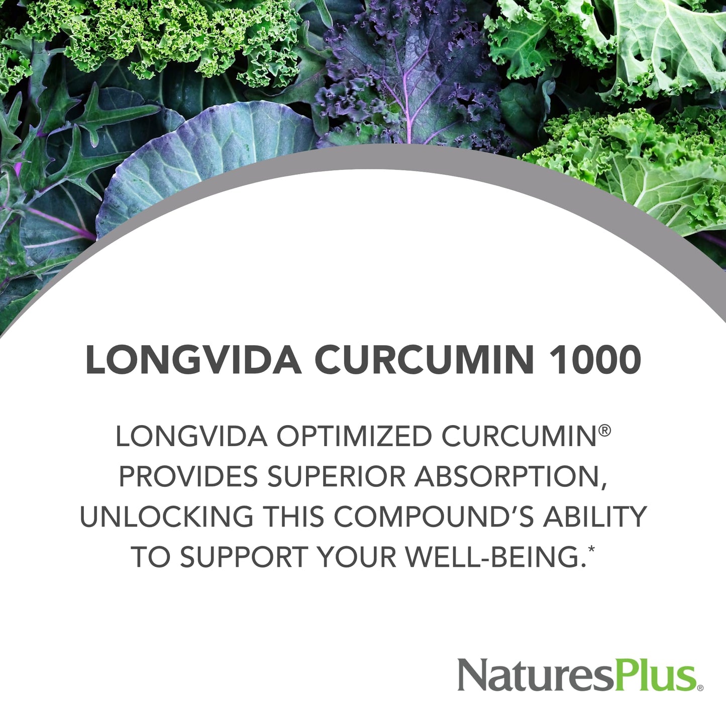 Natures Plus PRO Longvida Curcumin 1000 mg - 60 Mini-Tabs - Promotes Healthy Free Radical Protection - Non-GMO, Vegan, Gluten Free, Soy Free - 30 Servings