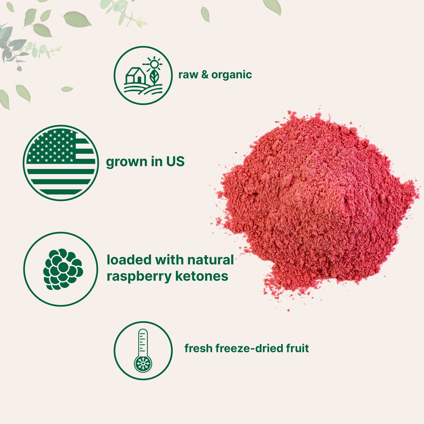 Pre-Order | Arrives in 5–10 Days – Organic Raspberry Juice powder, 8oz | 100% Natural Fruit Powder | Freeze-Dried Raspberries Source | No Sugar & Additives | Great Flavor for Drinks, Smoothie, & Beverages | Non-GMO & Vegan Friendly