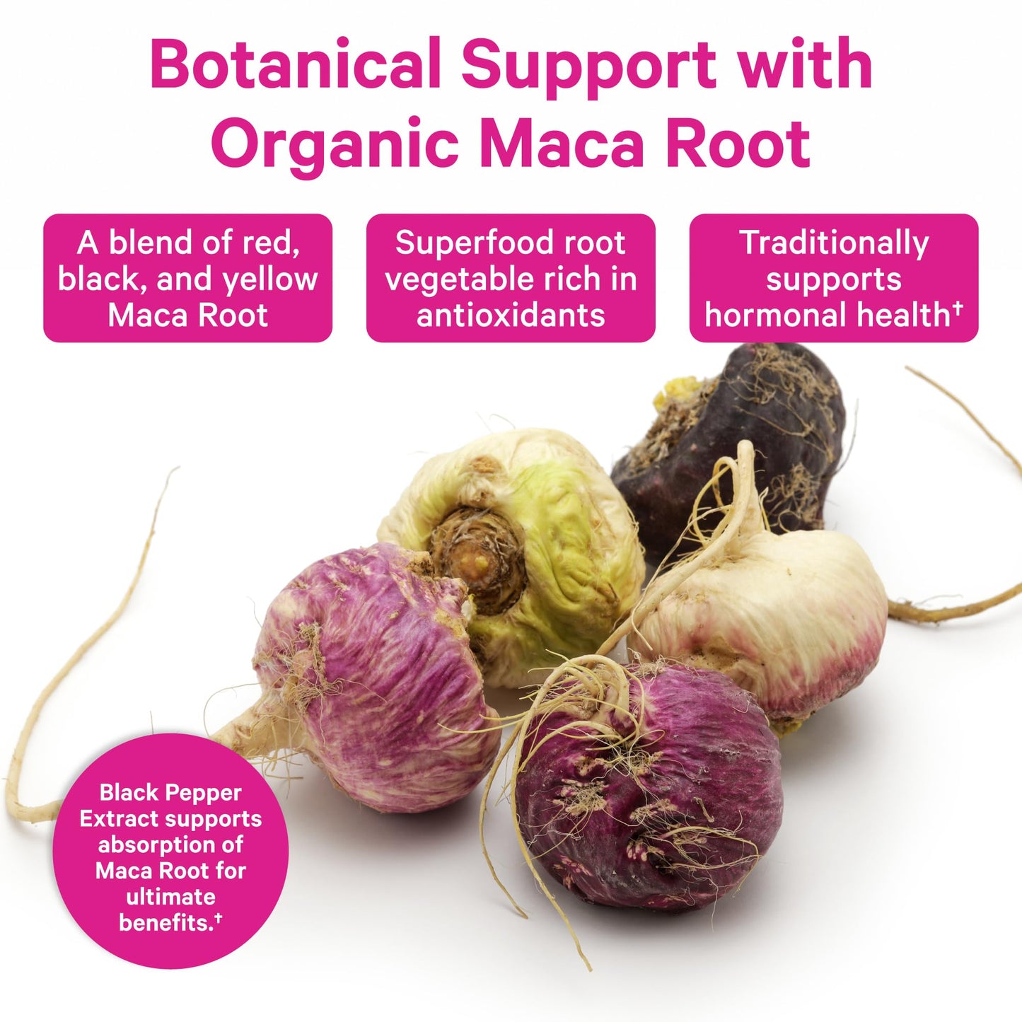 Pink Stork Maca Root Capsules for Women - Energy and Mood Support for Women, 1500 mg Organic Maca Root + BioPerine, Hormone Balance & Energy, PMS, Perimenopause, Menopause - 60 Capsules