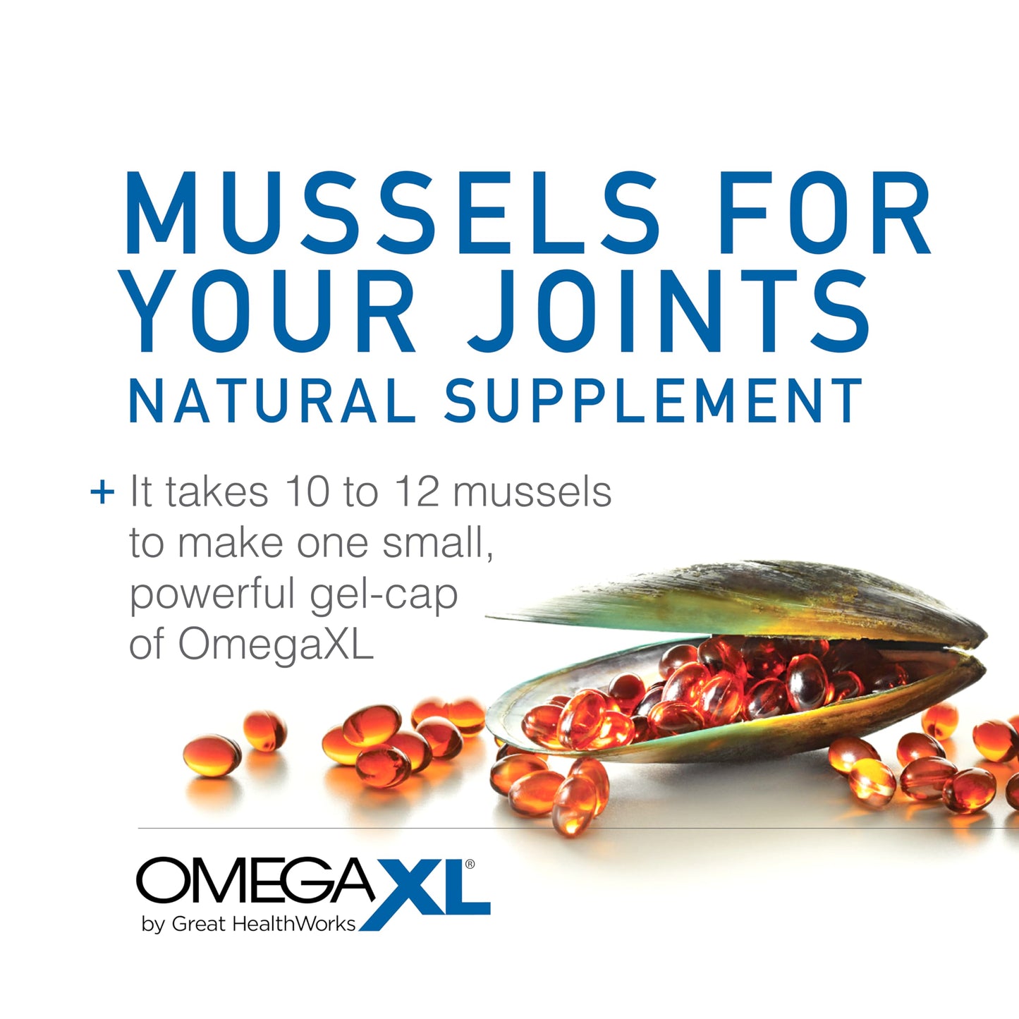 OmegaXL Joint Support Supplement - Natural Muscle Support, Green Lipped Mussel Oil, Soft Gel Pills, Drug-Free, 120 Count