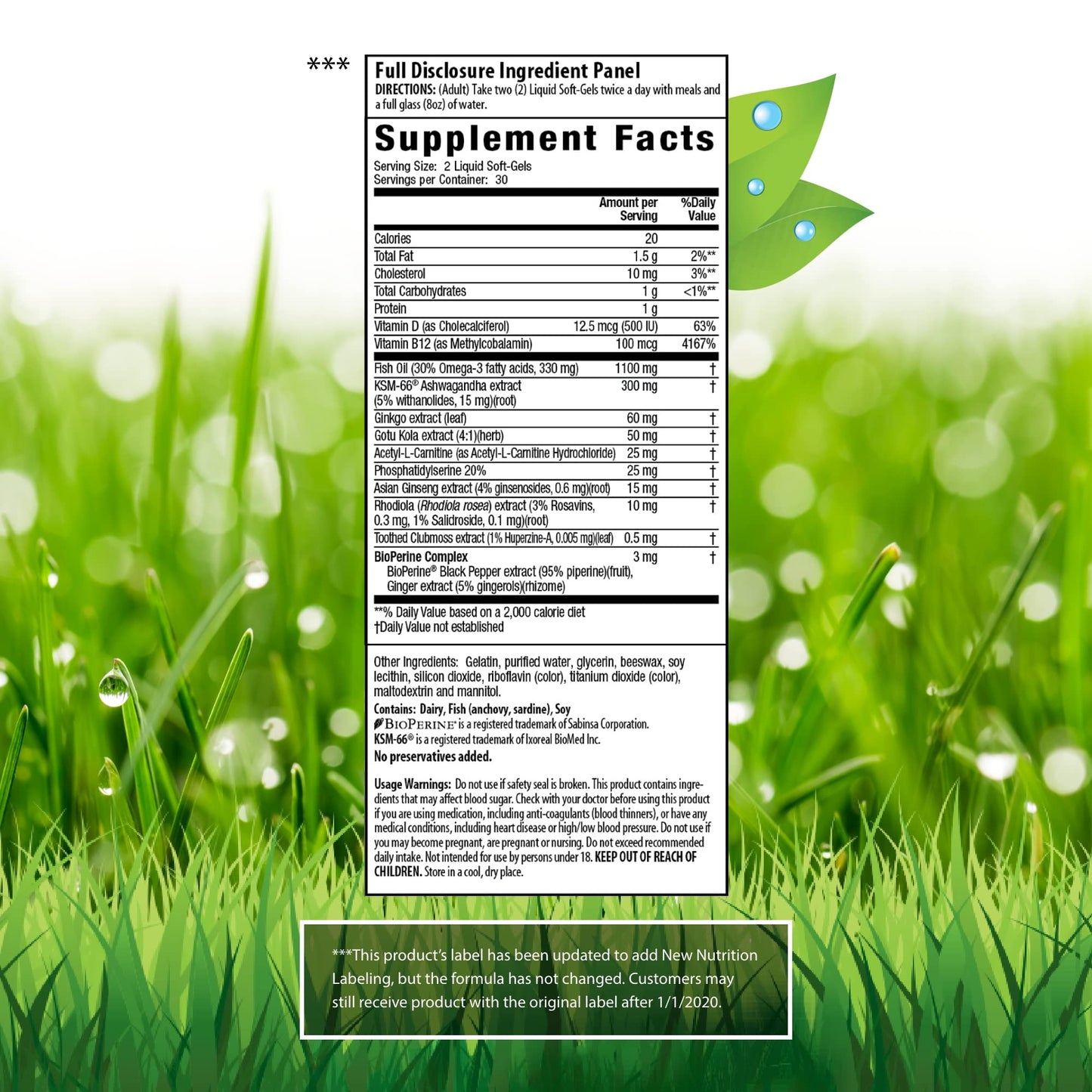 Irwin Naturals Mental Clarity Information Retention - 60 Liquid Soft-Gels - Helps Increase Attention to Detail & Retain and Recall Information Faster - 30 Total Servings
