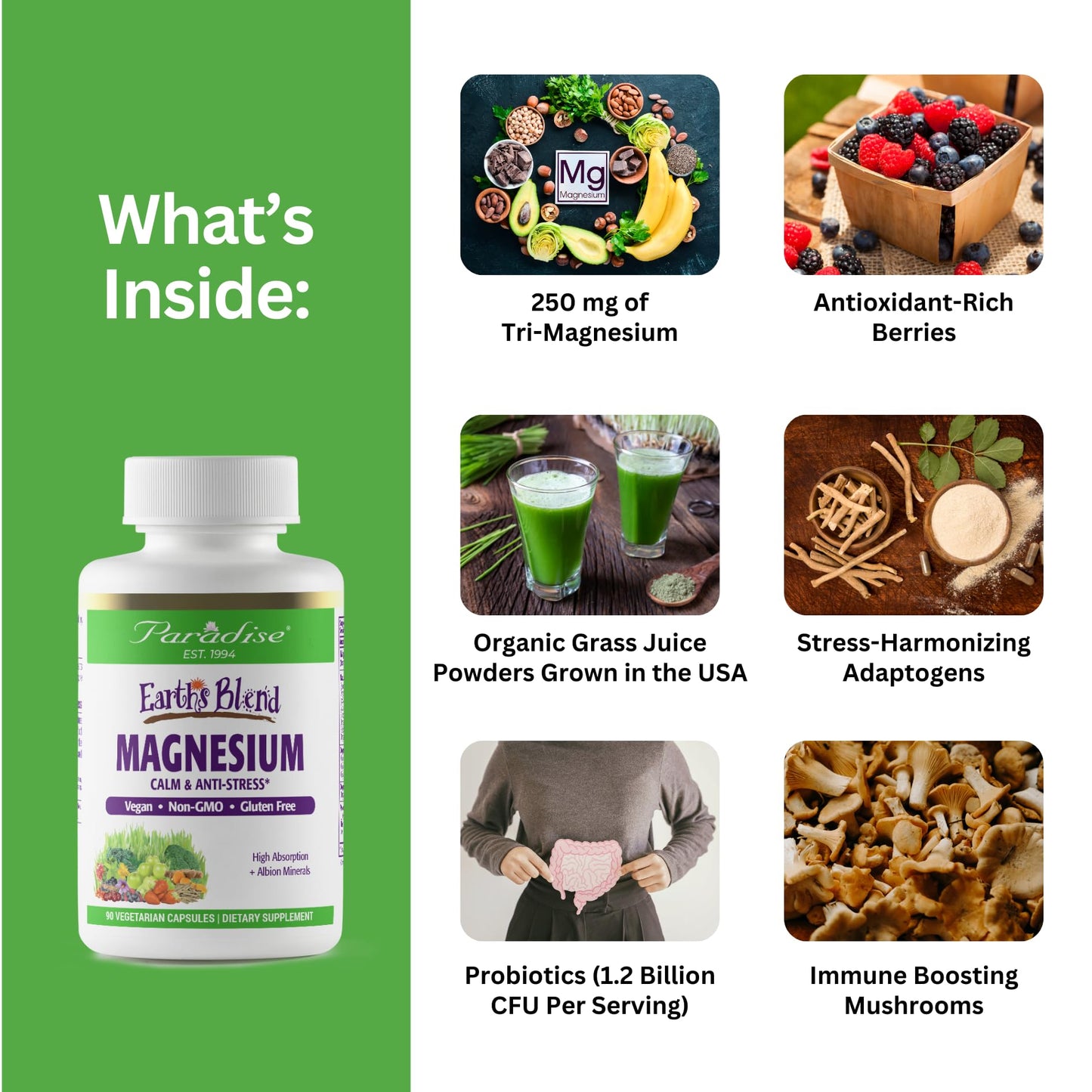 Pre-Order | Arrives in 5–10 Days – Paradise Herbs Earth's Blend Magnesium Supplement, Support Stress Relief, Sleep, Heart Health, Nerves, Muscles, Vegan, Non-GMO, Gluten Free, 90 Vegetarian Capsules