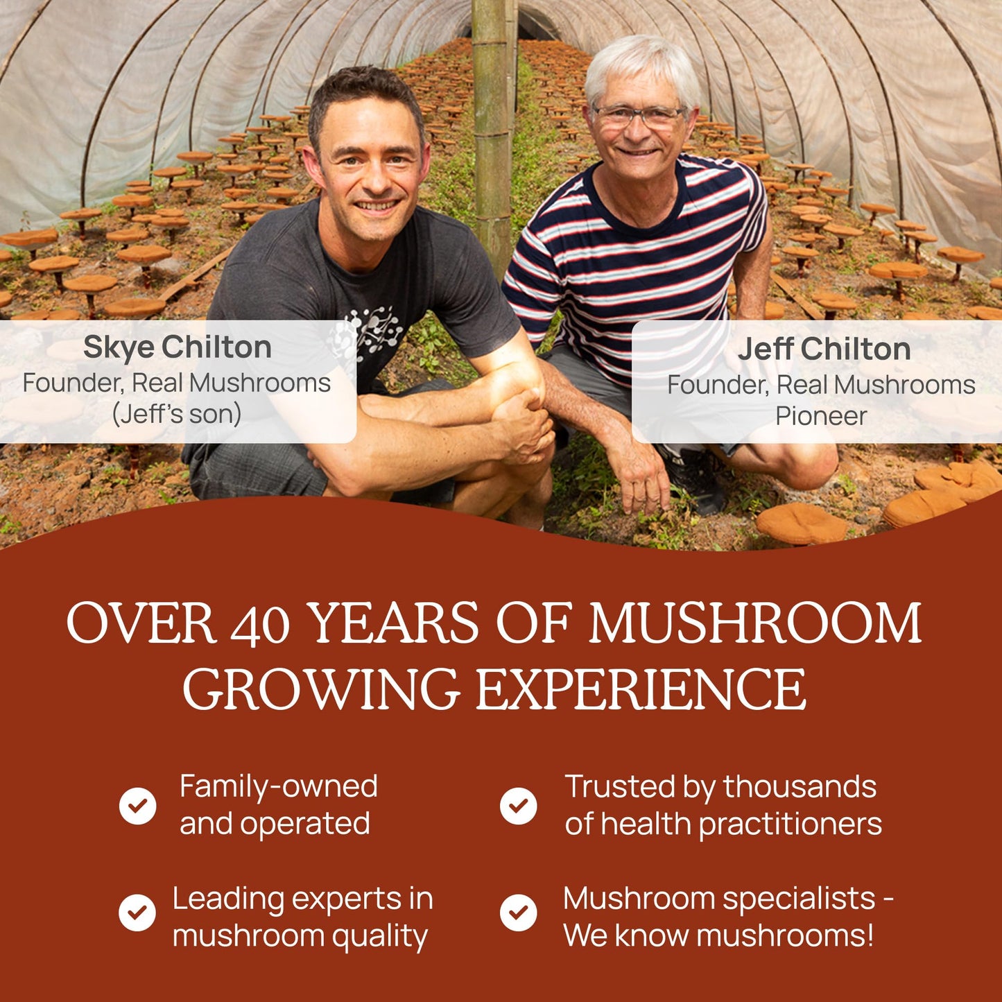 Real Mushrooms Reishi Mushroom Powder - Handpicked Organic Mushroom Extracts - Red Reishi for Tranquil Daily Wellness – Vegan, Non-GMO, Beta Glucan, Mushrooms Supplement Organic – 45 Servings