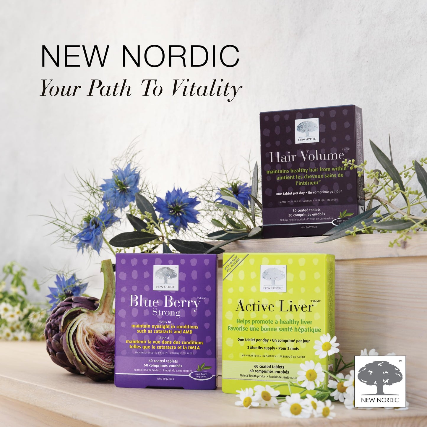 New Nordic Clear Brain Tablets, Supports Normal Cognitive Health and Memory, with Green Tea and Walnut, Swedish Made, 60 Count (Pack of 1)
