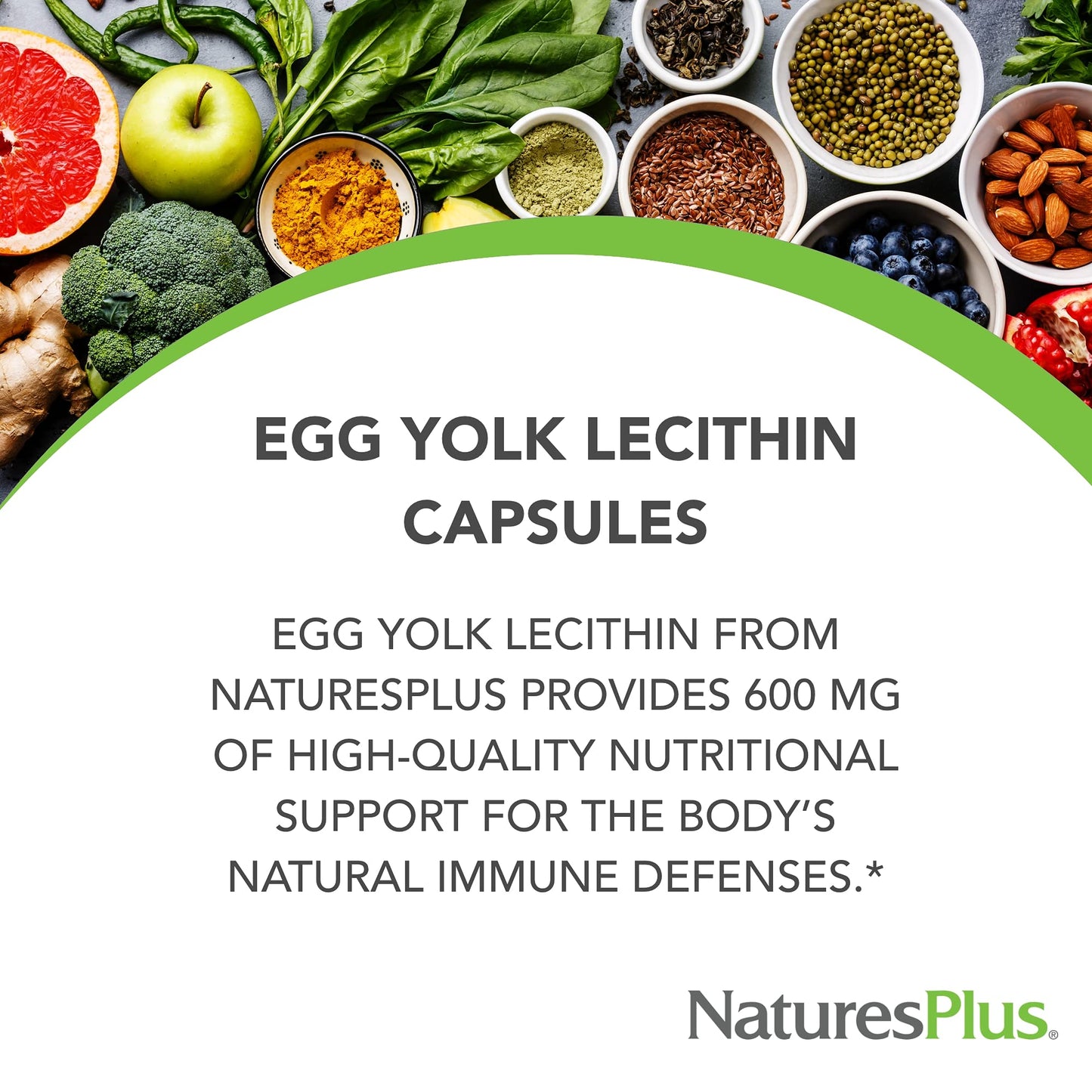 Natures Plus Egg Yolk Lecithin - 600 mg, 90 Vegetarian Capsules - Pack of 2 - Supports Body's Natural Defenses & Optimal Liver Function - Soy Free, Gluten Free - 90 Servings