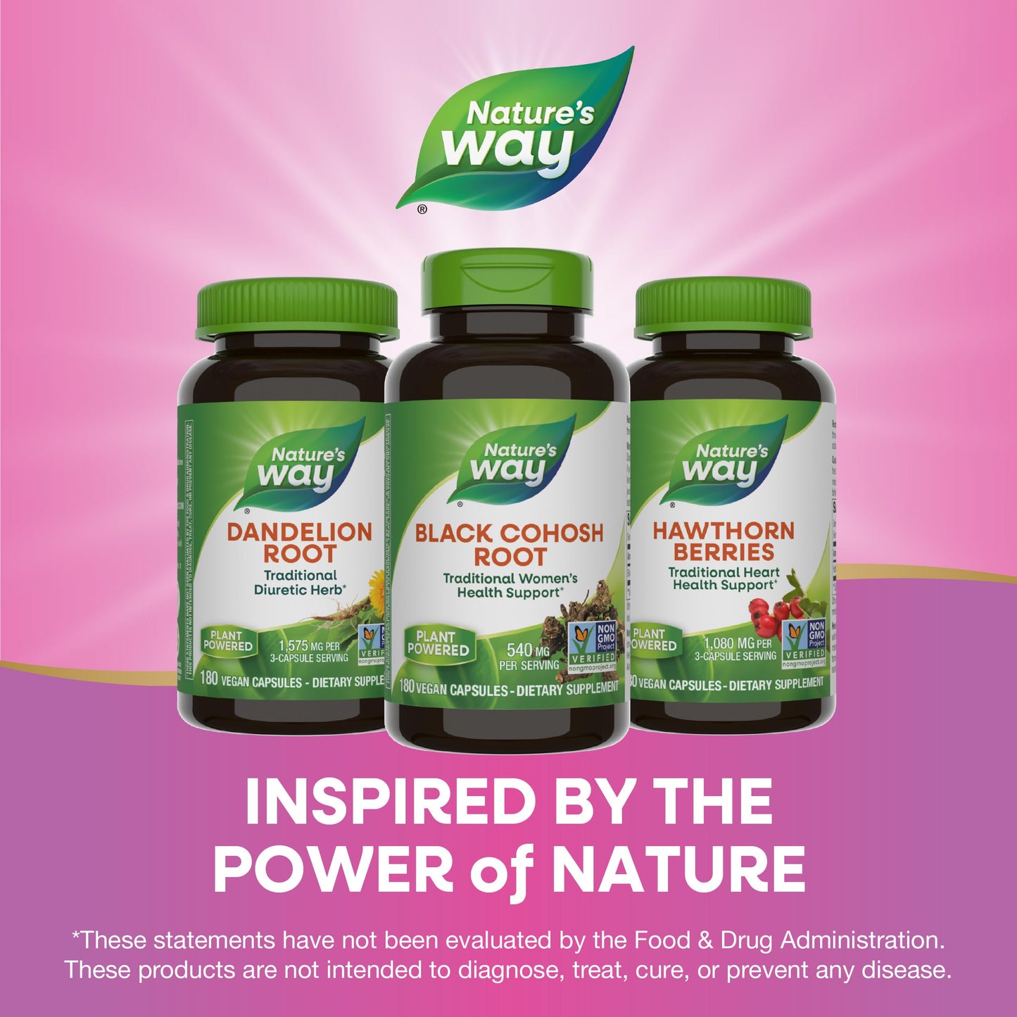 Nature's Way Black Cohosh Root, Traditional Support for Women's Health*, 540 mg per Serving, Non-GMO Project Verified, 180 Capsules