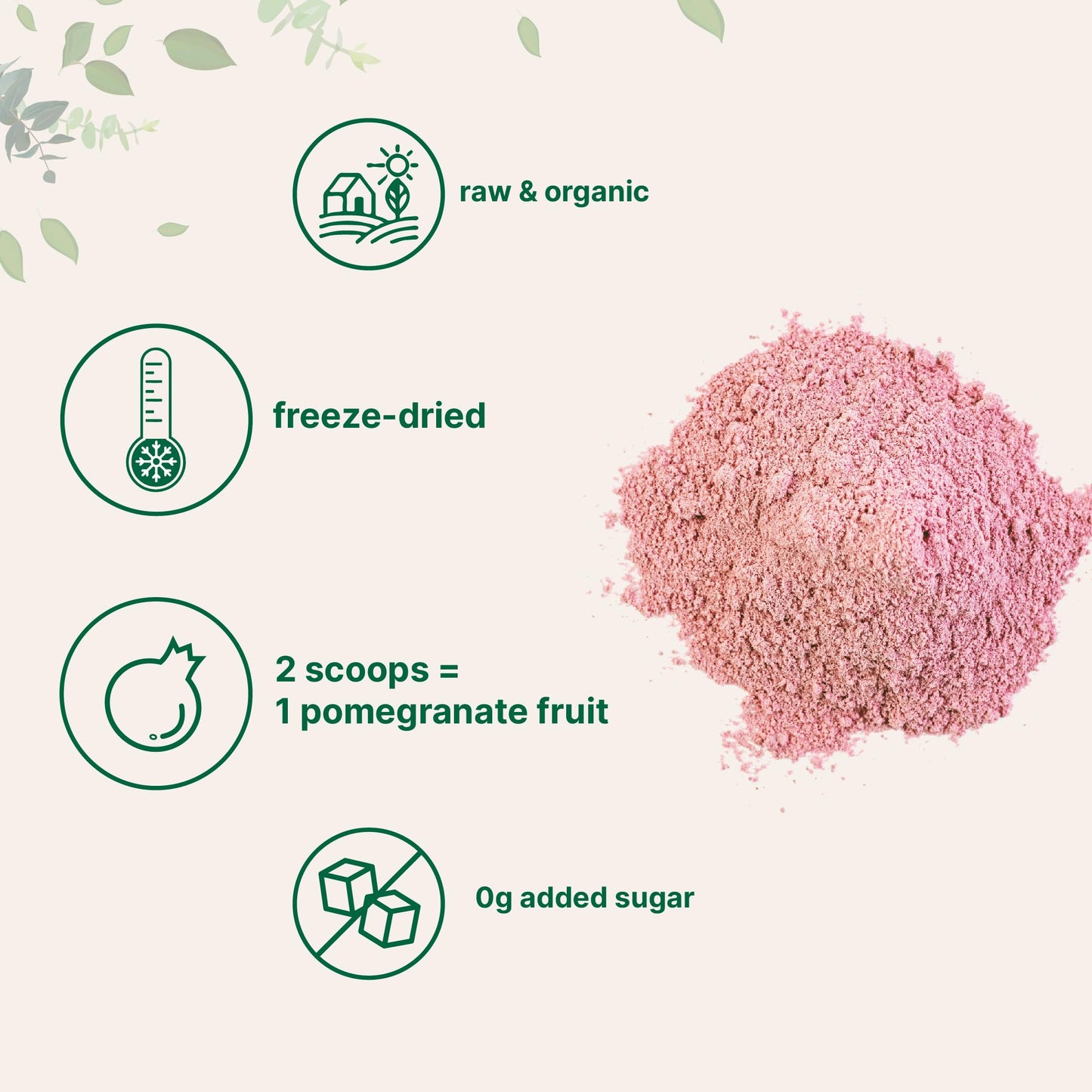 Pre-Order | Arrives in 5–10 Days – Organic Pomegranate Juice Powder, 1 Pound | 100% Natural Fruit Powder | Freeze Dried & Cold Pressed | No Sugar & Additives | Great Flavor for Drinks, Smoothie, & Beverages | Non-GMO & Vegan Friendly