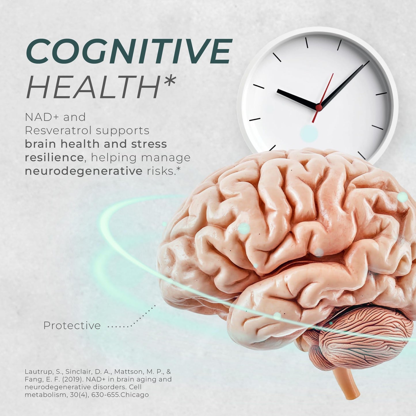 Neurogan NAD+ with Resveratrol Capsules 1:1 Ratio - 1200mg Per Serving, 90 Ct - Cellular Health & Healthy Aging Supplements, Energy & Immune Support - Nicotine Adenine Dinucleotide NAD+ Supplement
