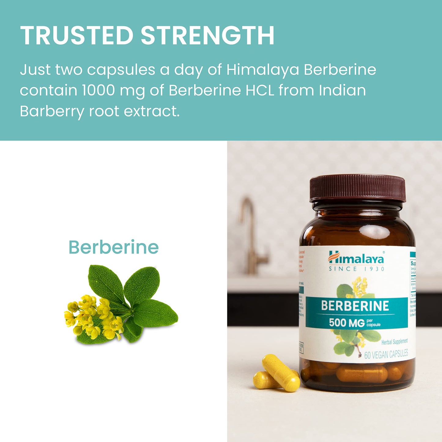 Himalaya Berberine for Balanced Support, Digestion & Immune System Support, 500 mg, 60 Vegetarian Capsules, 1 Month Supply