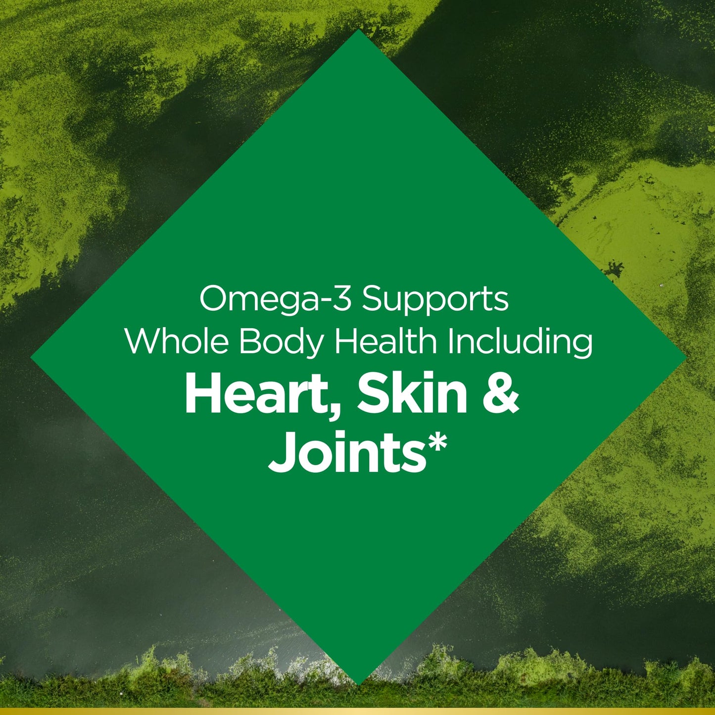 Nature's Bounty Omega 3, Plant-Based Omega 3 Fatty Acid Suppement, 520mg, Supports Whole Body Health Including Heart, Skin, Joint, 30 Vegetarian Softgels, Fish Oil Alternative, Omega 3 Supplements