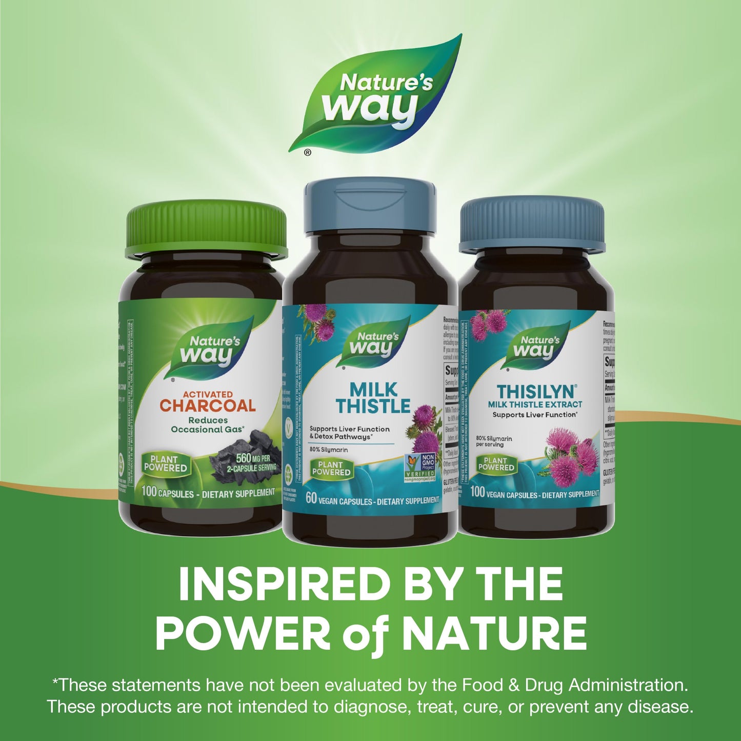 Nature's Way Milk Thistle, Supports Liver Function & Detox Pathways*, 175 mg Milk Thistle Seed Extract Standardized to 80% Silymarin per Serving, Vegan, 60 Capsules