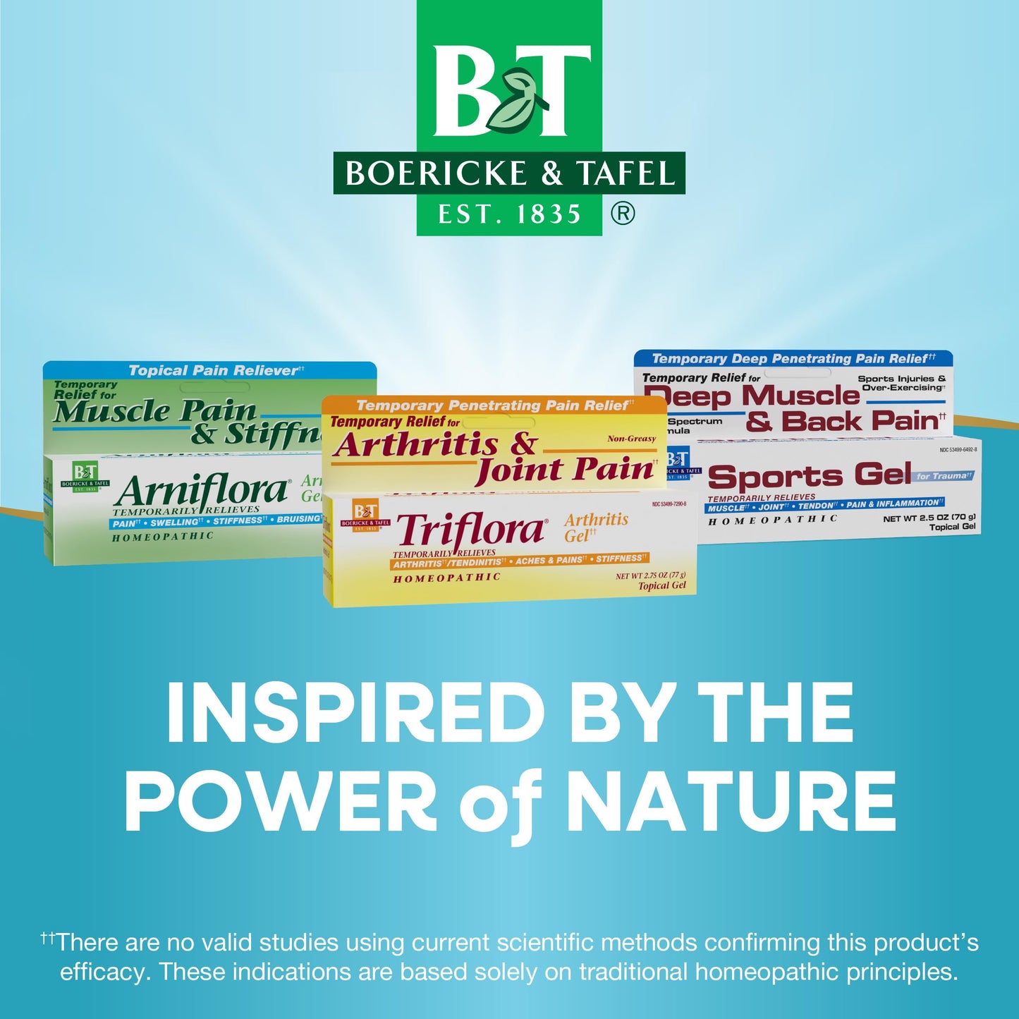 Nature's Way Boericke and Tafel Triflora Arthritis Topical Gel, Relief for Arthritis, Tendinitis, Joint Pain, and Stiffness*, 2.75 Ounce