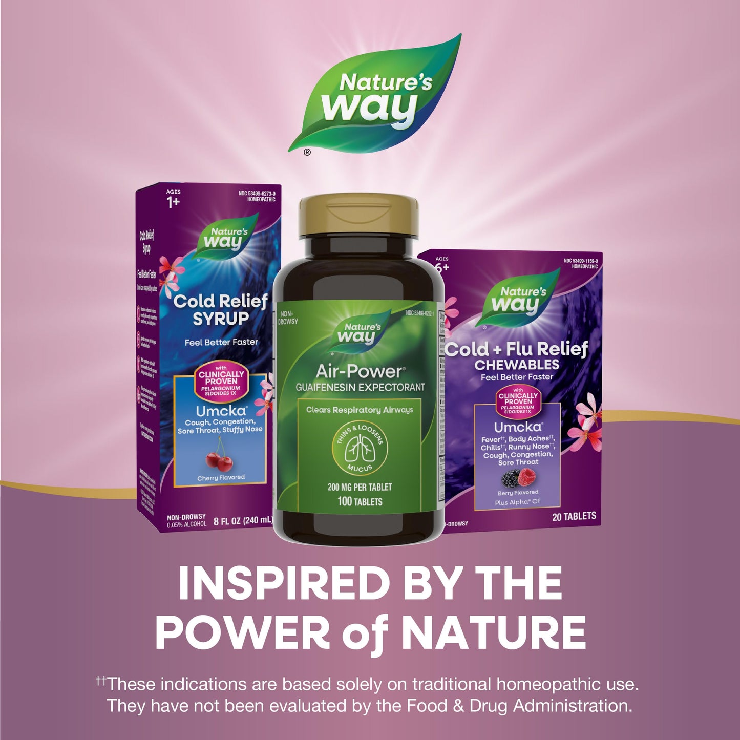 Nature’s Way Air-Power, Guaifenesin Expectorant, Clears Respiratory Airways, Thins & Loosens Mucus, Vegan, 100 Tablets (Packaging May Vary)
