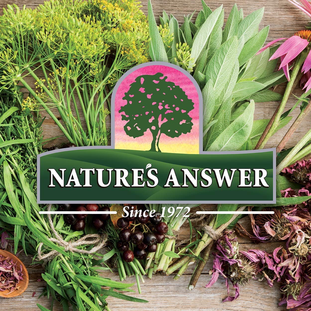 Nature's Answer Eyebright Extract 1 Ounce | Vision & Eye Support | Alcohol Free, Vegan, Non GMO, Gluten Free, Kosher | Quick Absorption | Single Count