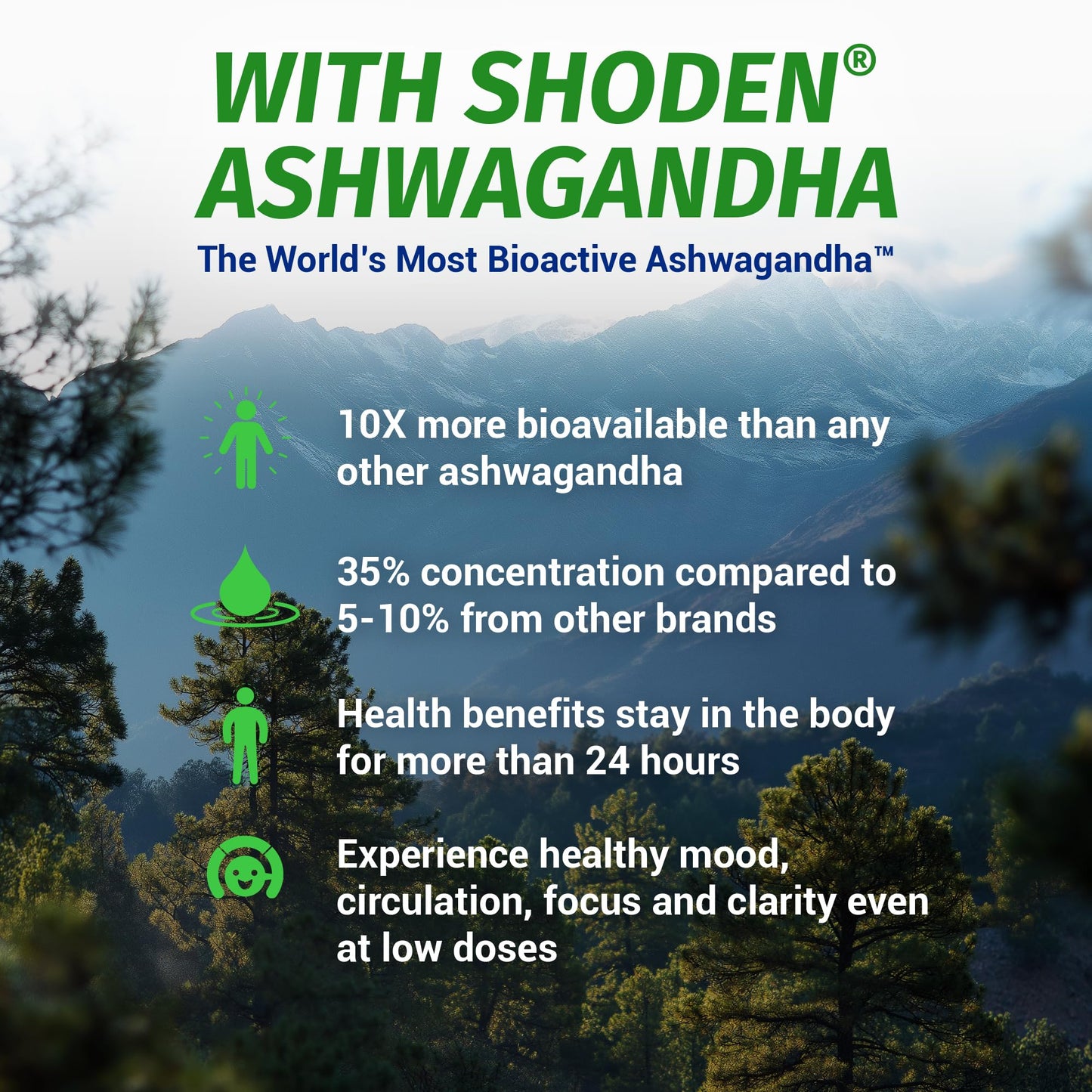 1 Body Ashwagandha Complex with Shoden® – Clinically Supported Stress Relief, Sleep, and Energy Support – Vegan, Non-GMO Supplements – 60 Capsules