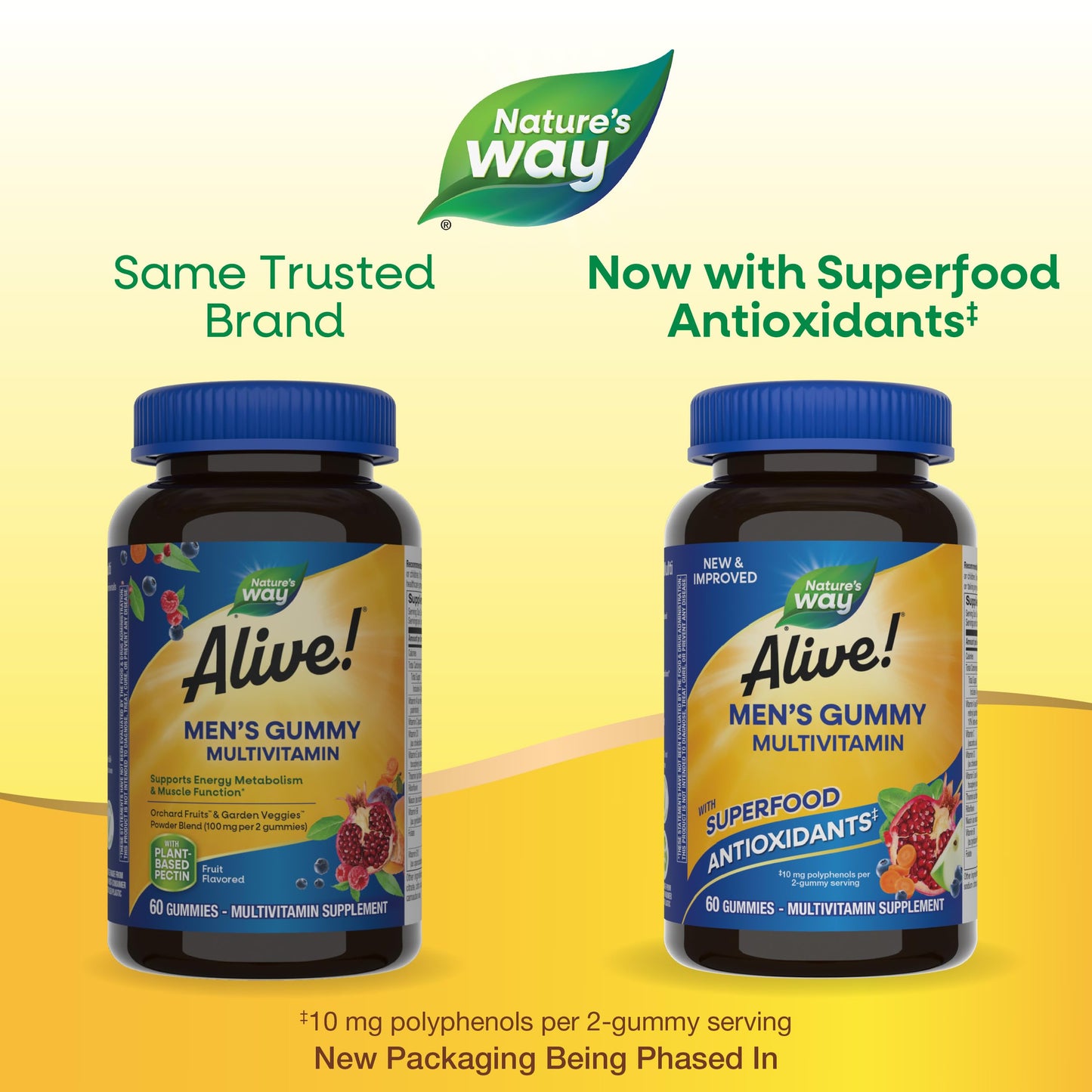 Nature's Way Alive! Men's Daily Gummy Multivitamin, Supports Energy Metabolism*, Muscle Function*, B-Vitamins, Superfood Antioxidants, Gluten-Free, Vegetarian, Fruit Flavored, 60 Gummies